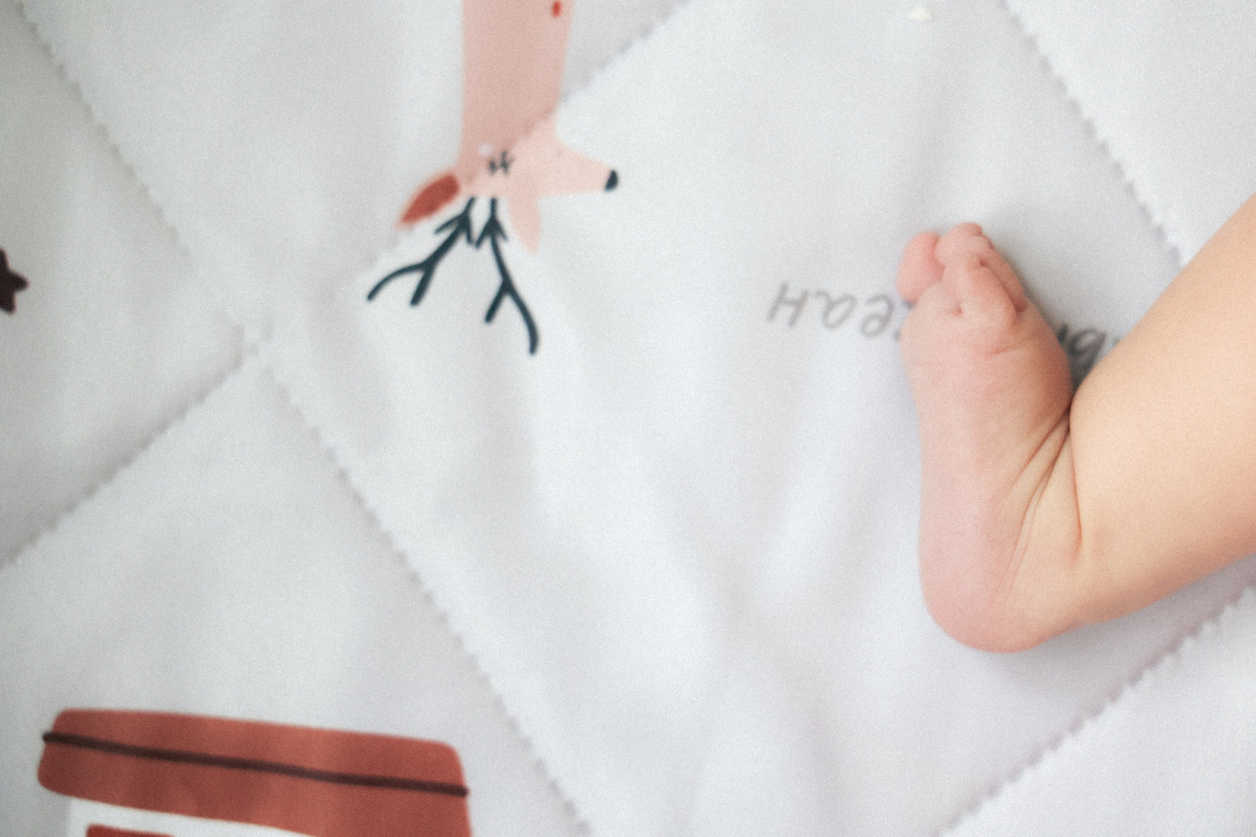 Валя Саша и Милана. Фотограф НатаФото (Наталья Яковенко) Дмитров Москва Питер