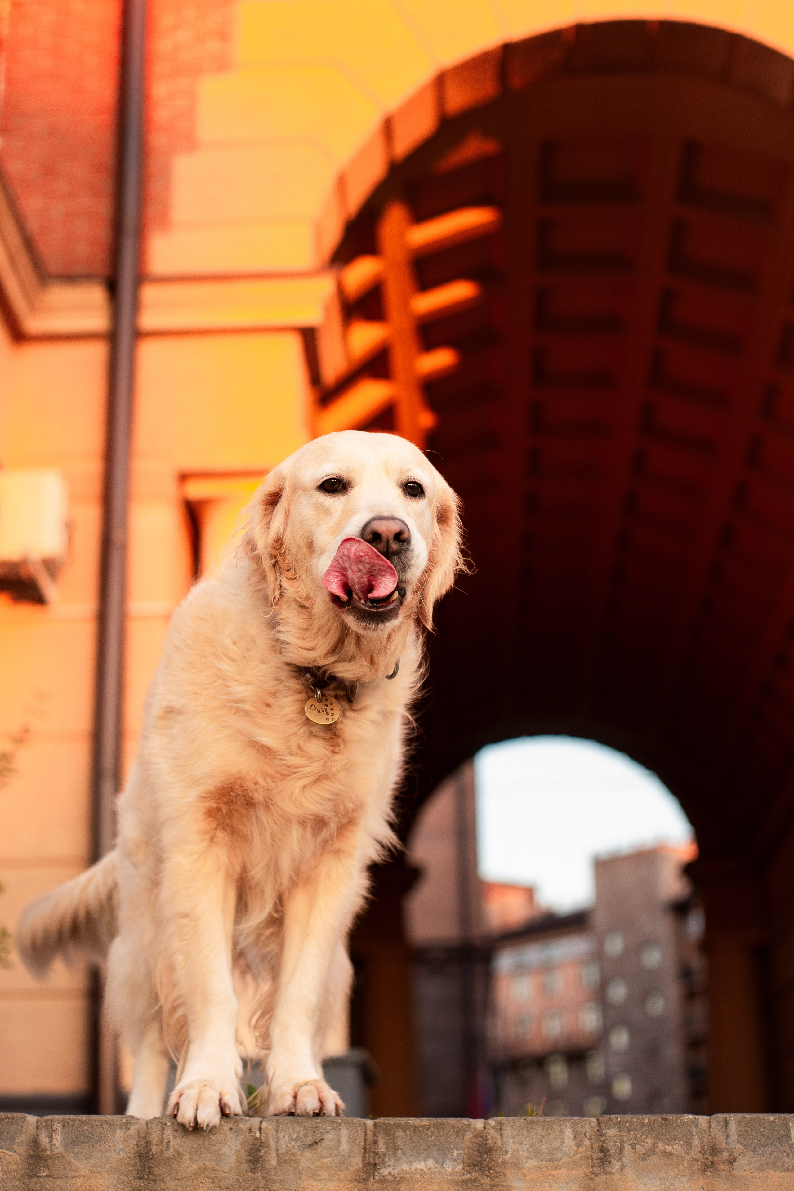 Юля и Мэй. Фотограф-анималист Мария Баркевич | Москва