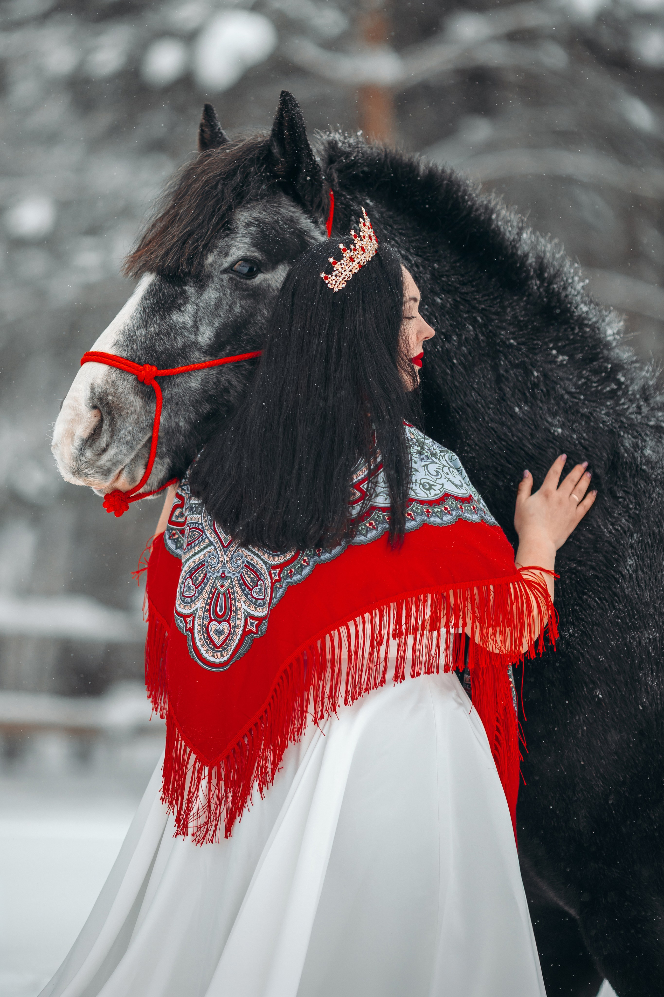 Яблоки на снегу. Анна Молчанова конный фотограф в Тюмени | фотосессии с лошадьми Тюмень