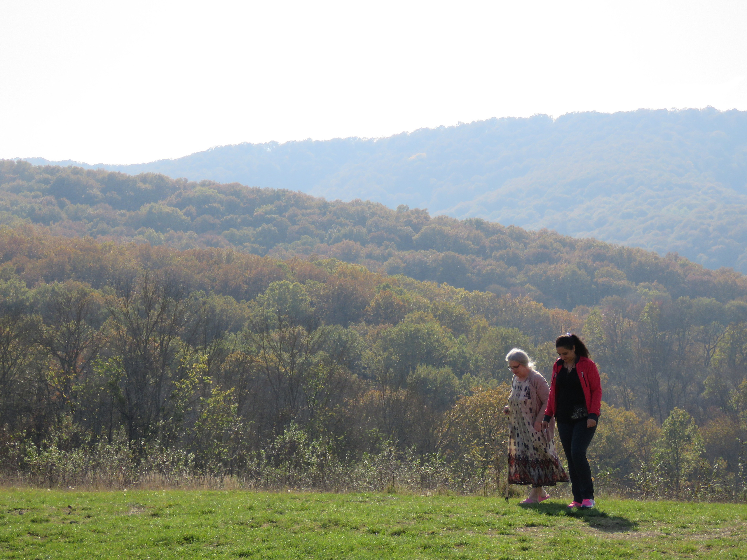 Мамочка дорогая, Царствие Небесное!. Собор Отрасли