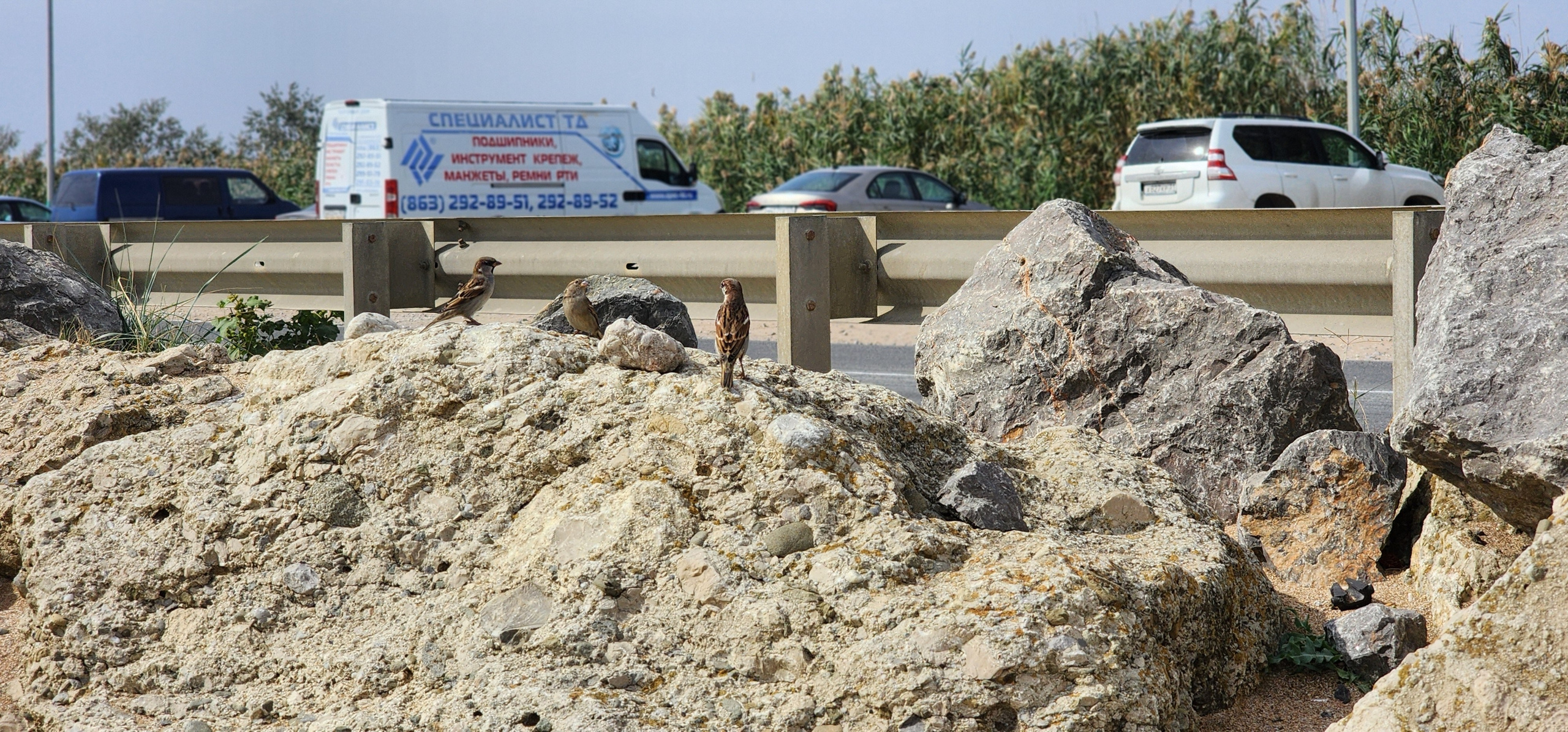 Приморское (2024-09-26). Собор Отрасли