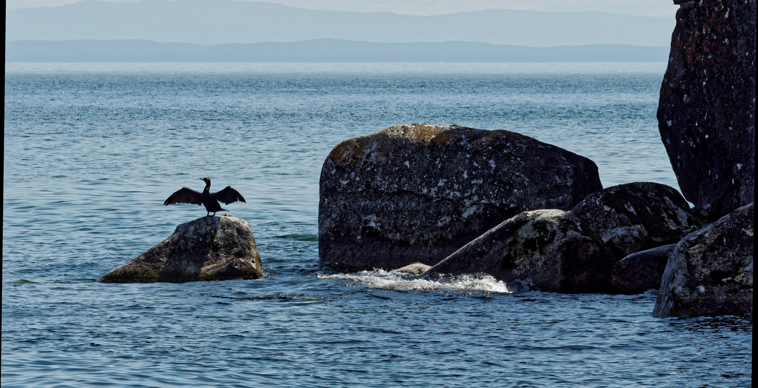 Владимир Альбов — фотографирую!