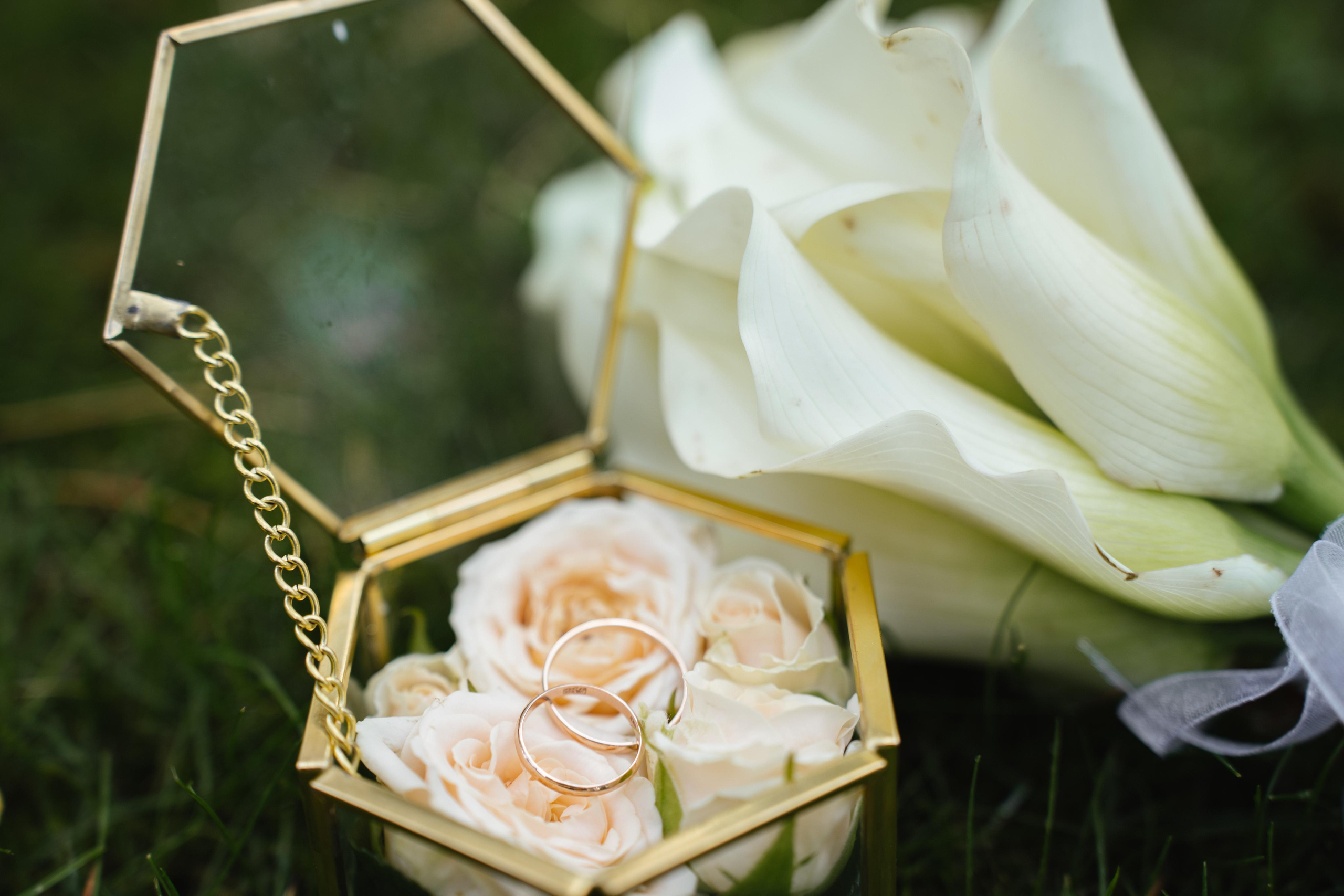 Анастасия и Данил. Свадебный и семейный фотограф в Красноярске Наталья Дроздова