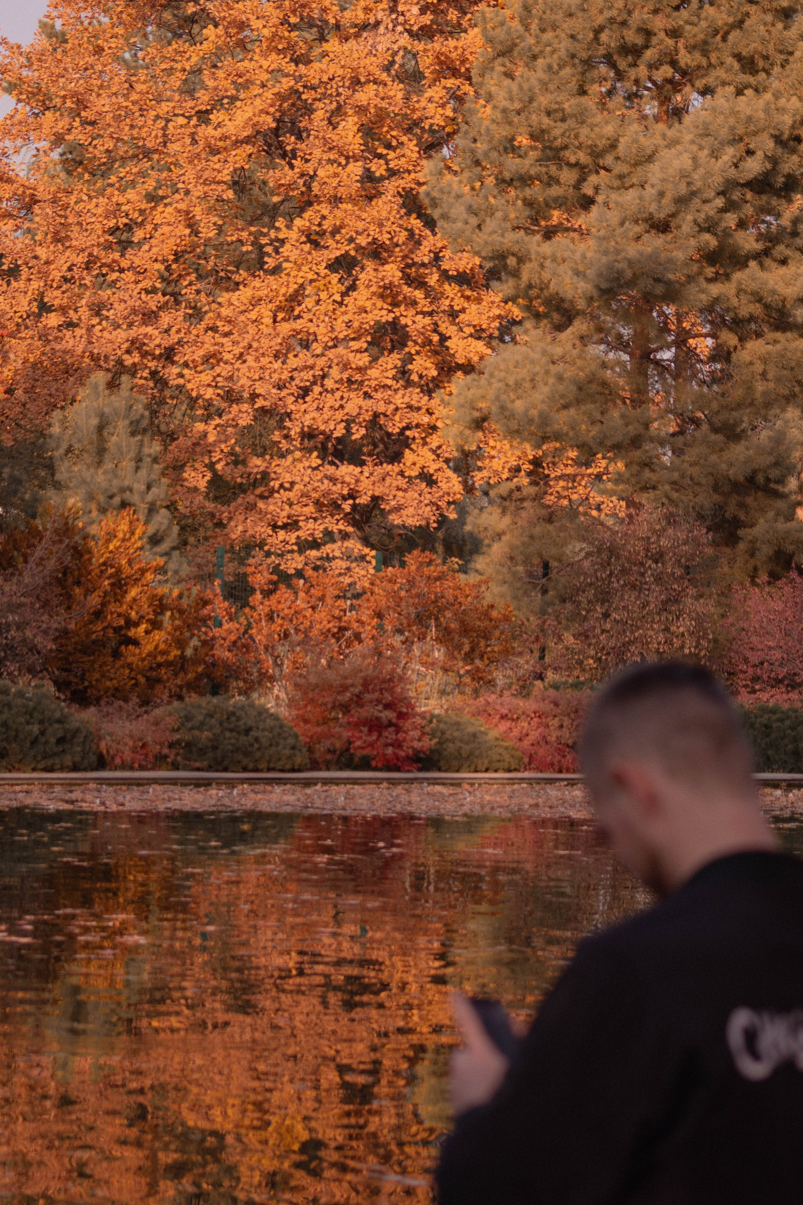Визуальный дневник. Репортажный фотограф в Алматы Цой Сергей