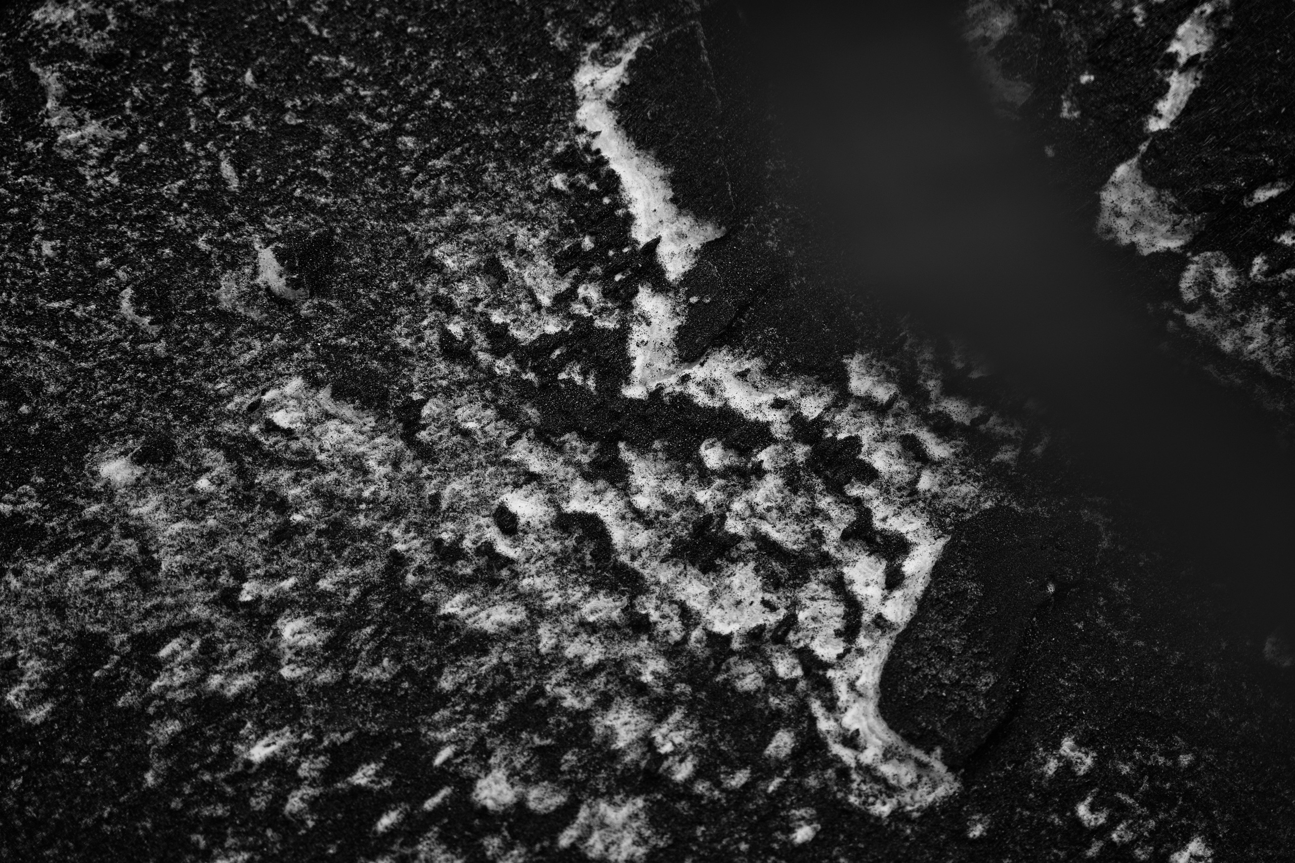 ОКЕАН МК. ФОТОГРАФ КАМЧАТКА