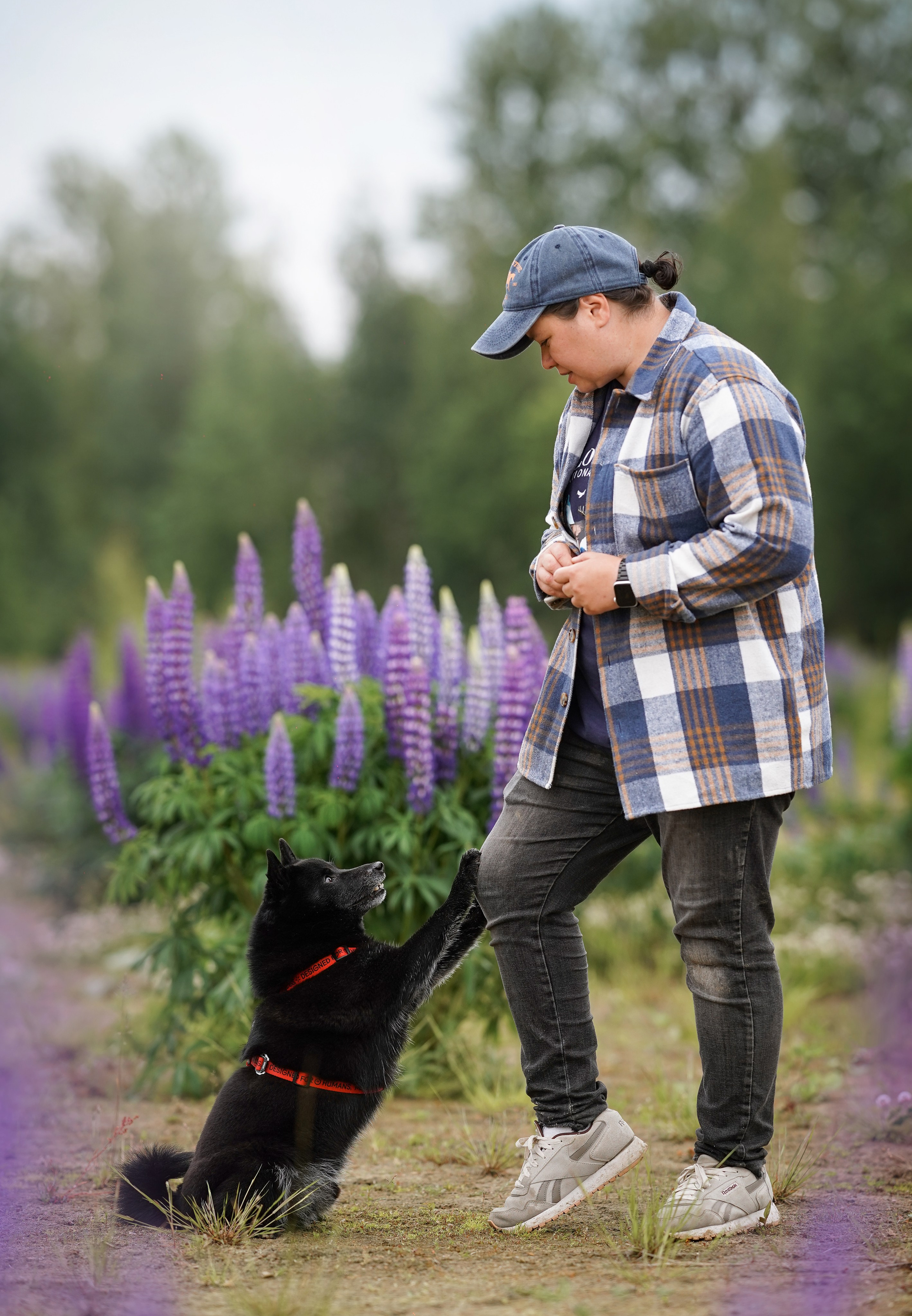 Аня Арчи и Панда в люпинах. Фотограф-анималист в Санкт-Петербурге Яна Мартынова
