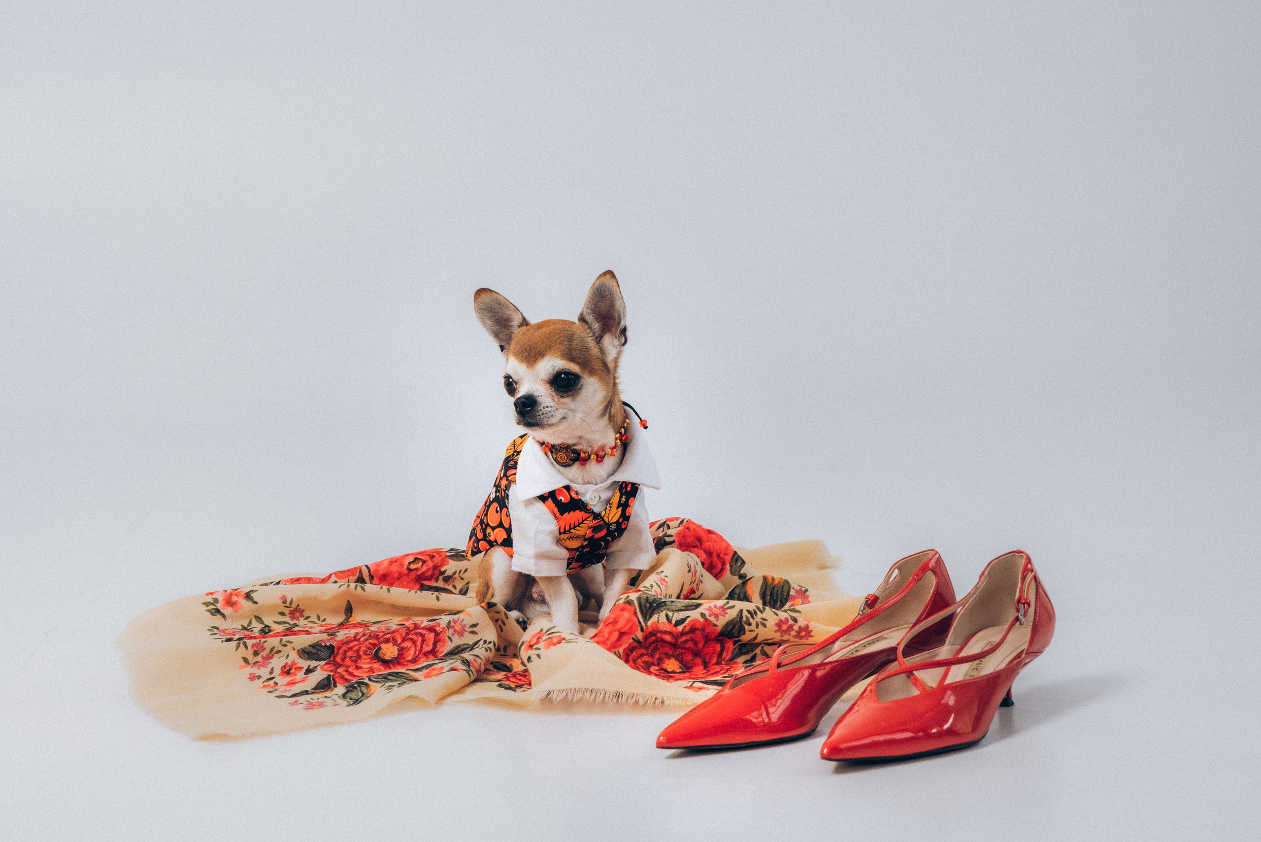 Лена для дома моды. Ольга Козлова фотограф Волгоград olkiny-fotki.ru