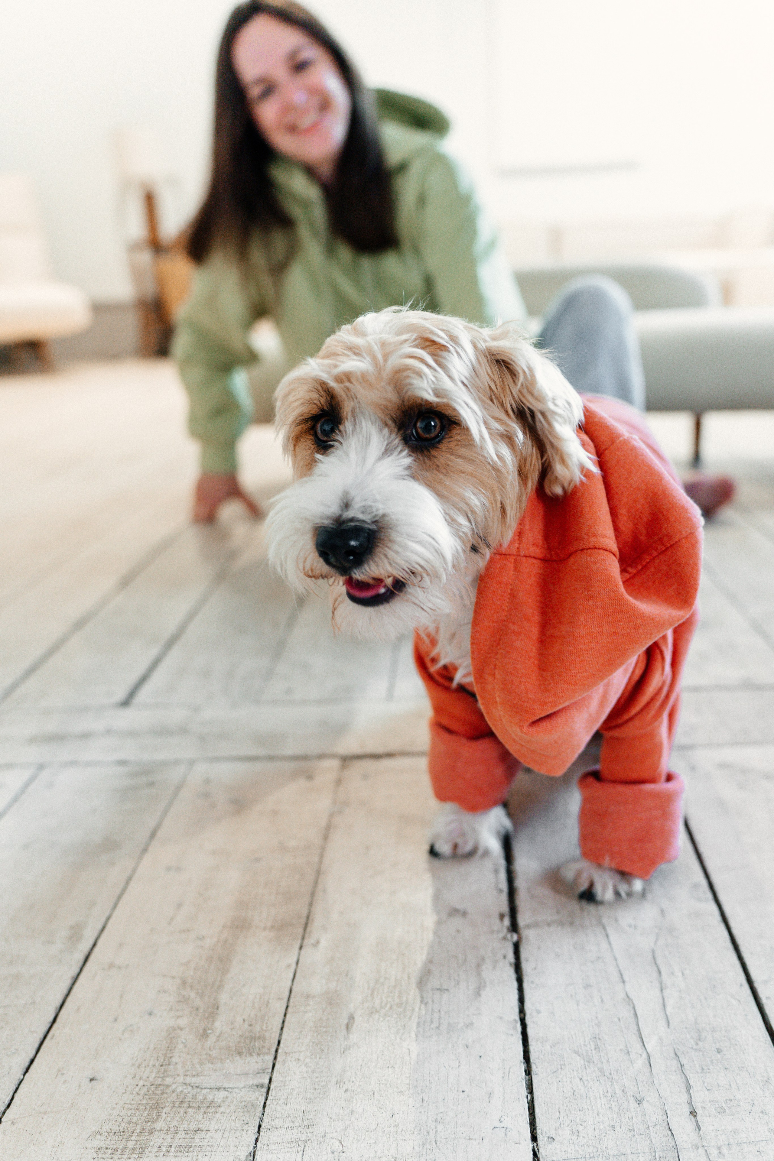 Красота хвостатых глазами хозяйки. Ваш семейный фотограф в Минске — Вика Трегубова