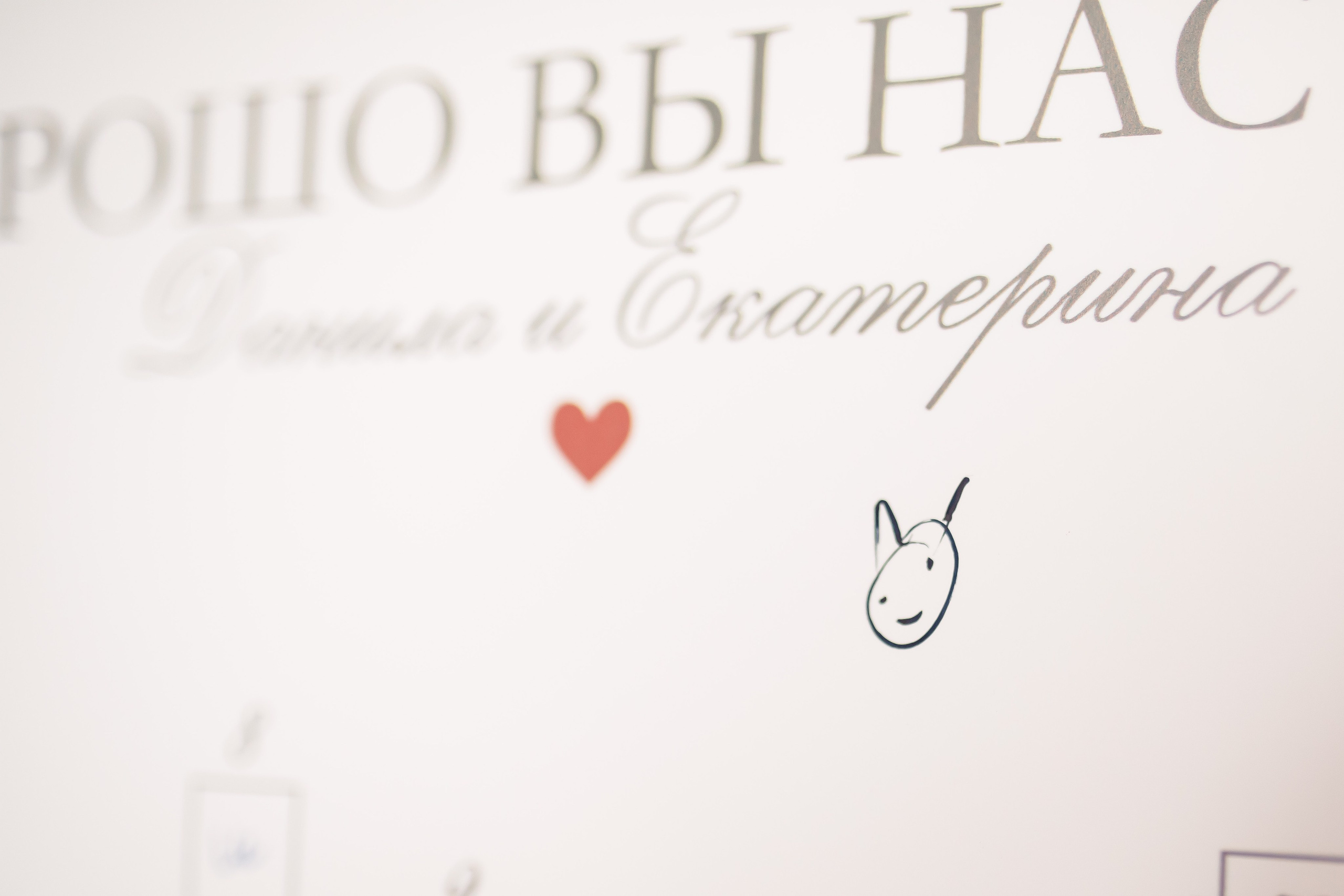 Екатерина и Данила|Чехов. Свадебный фотограф Серпухов — Москва Ольга Васильева