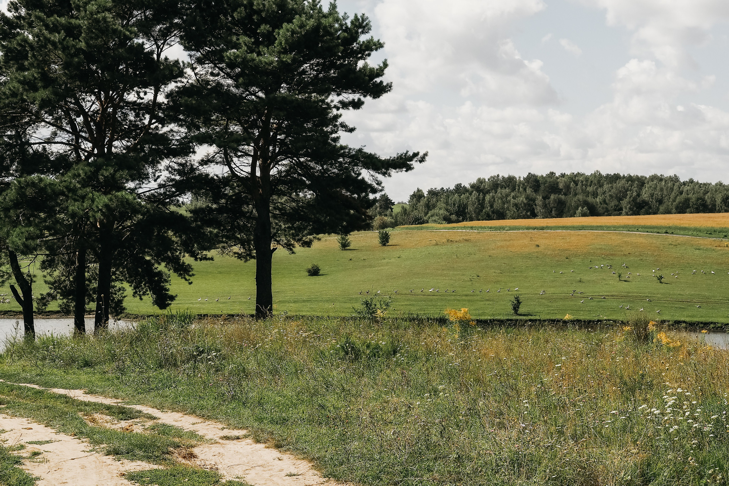Толмачевский пруд. Фотограф Павлова Светлана / Брянск /