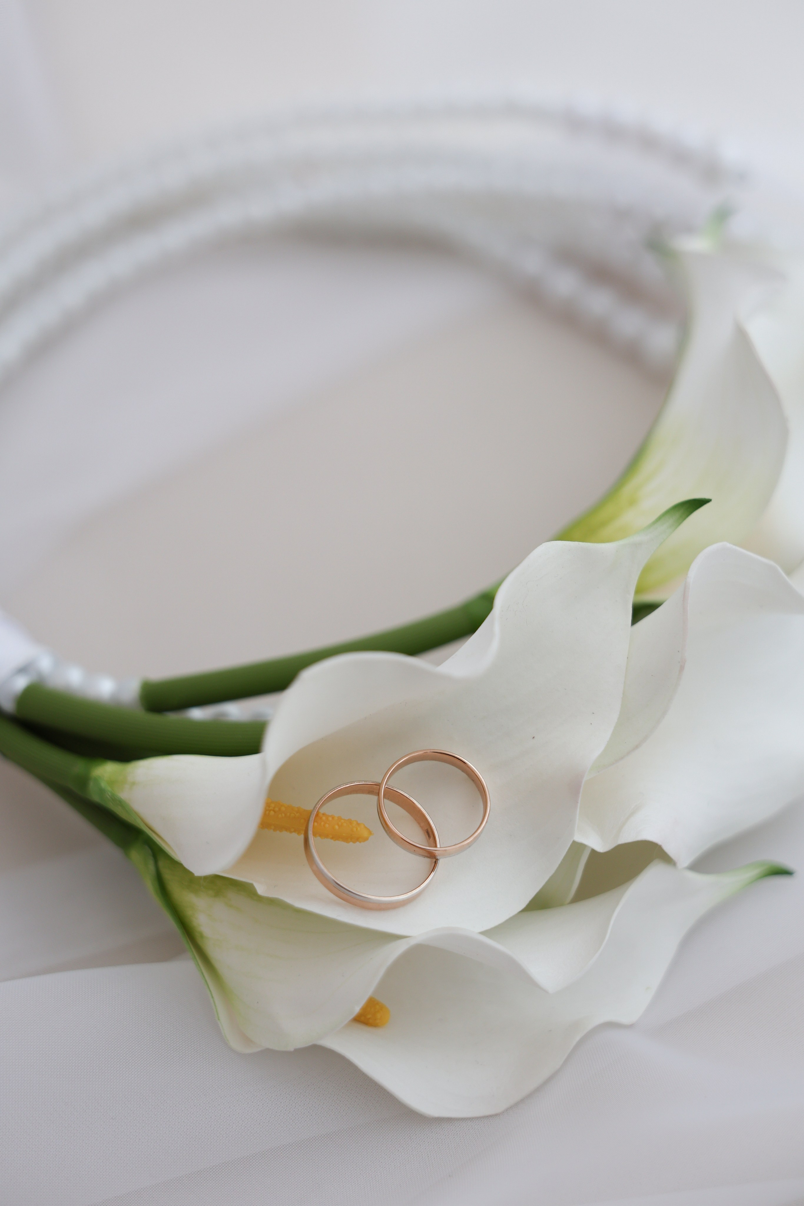 Алексей и Ксения. Фотограф и видеограф в Москве Полина Абраменкова