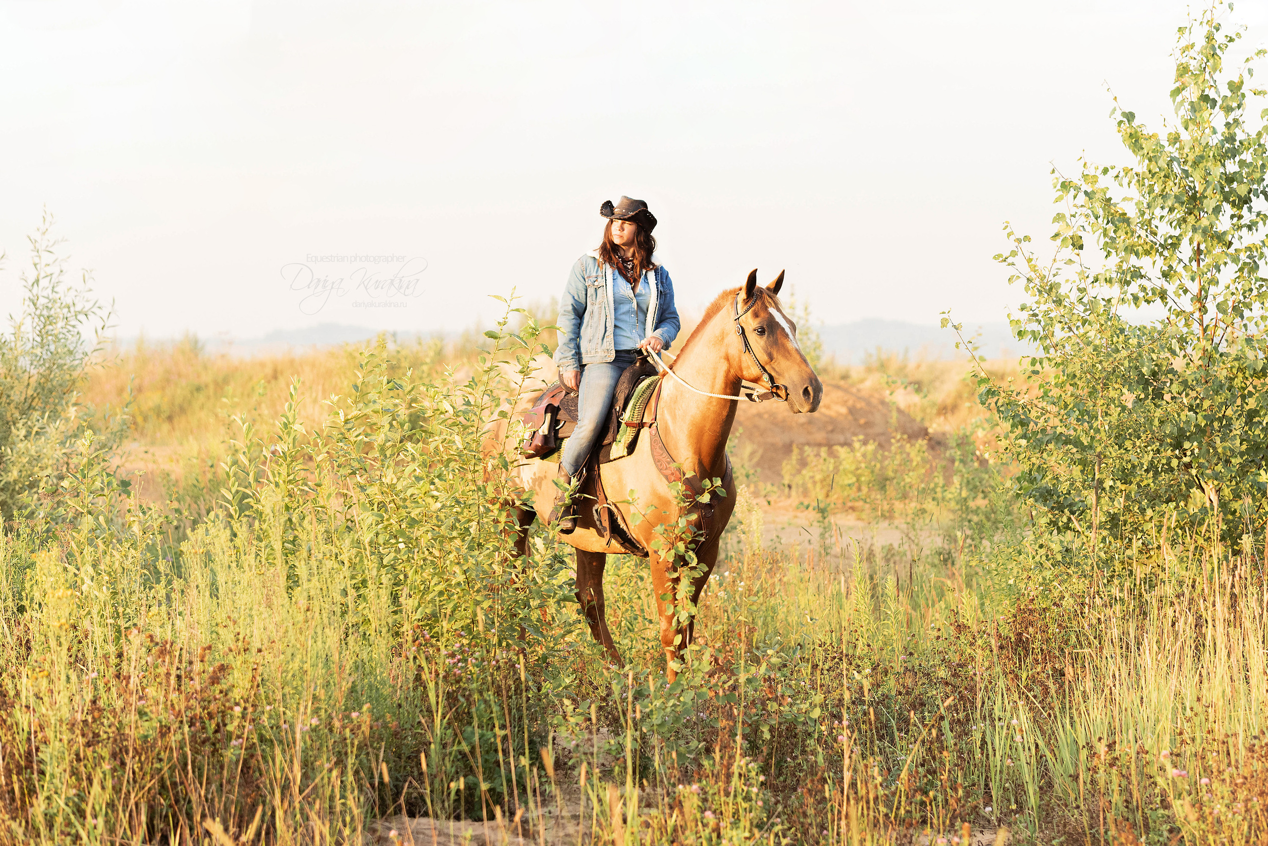 Утреннее перемирие. Конный фотограф Куракина Дарья • Фотосессии с лошадьми