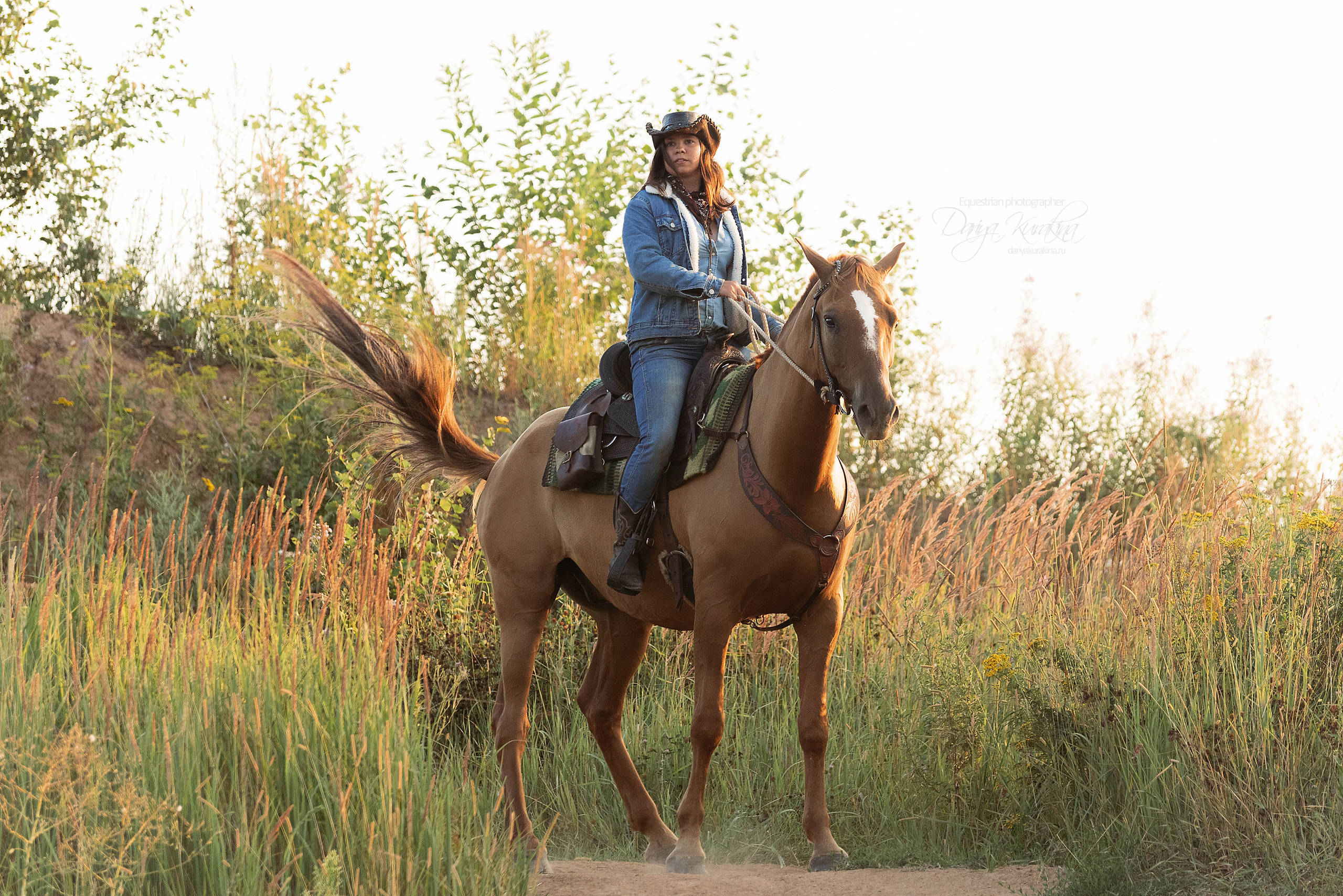 Утреннее перемирие. Конный фотограф Куракина Дарья • Фотосессии с лошадьми