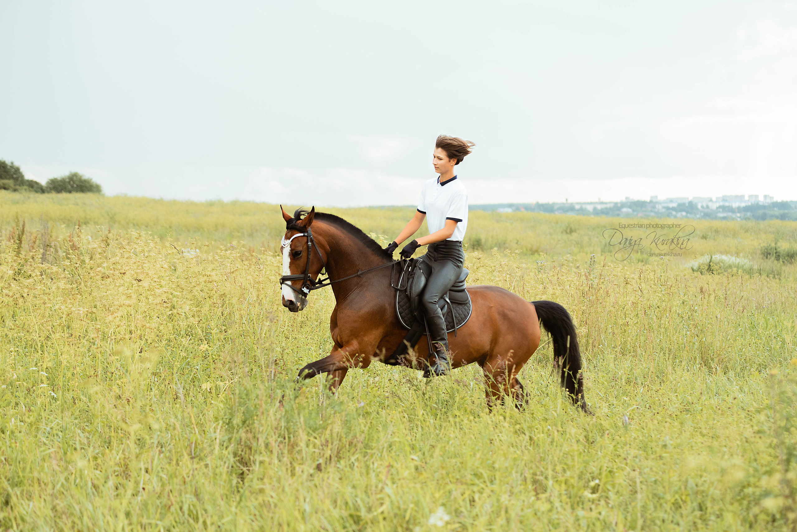 Полевая Формула-1. Конный фотограф Куракина Дарья • Фотосессии с лошадьми