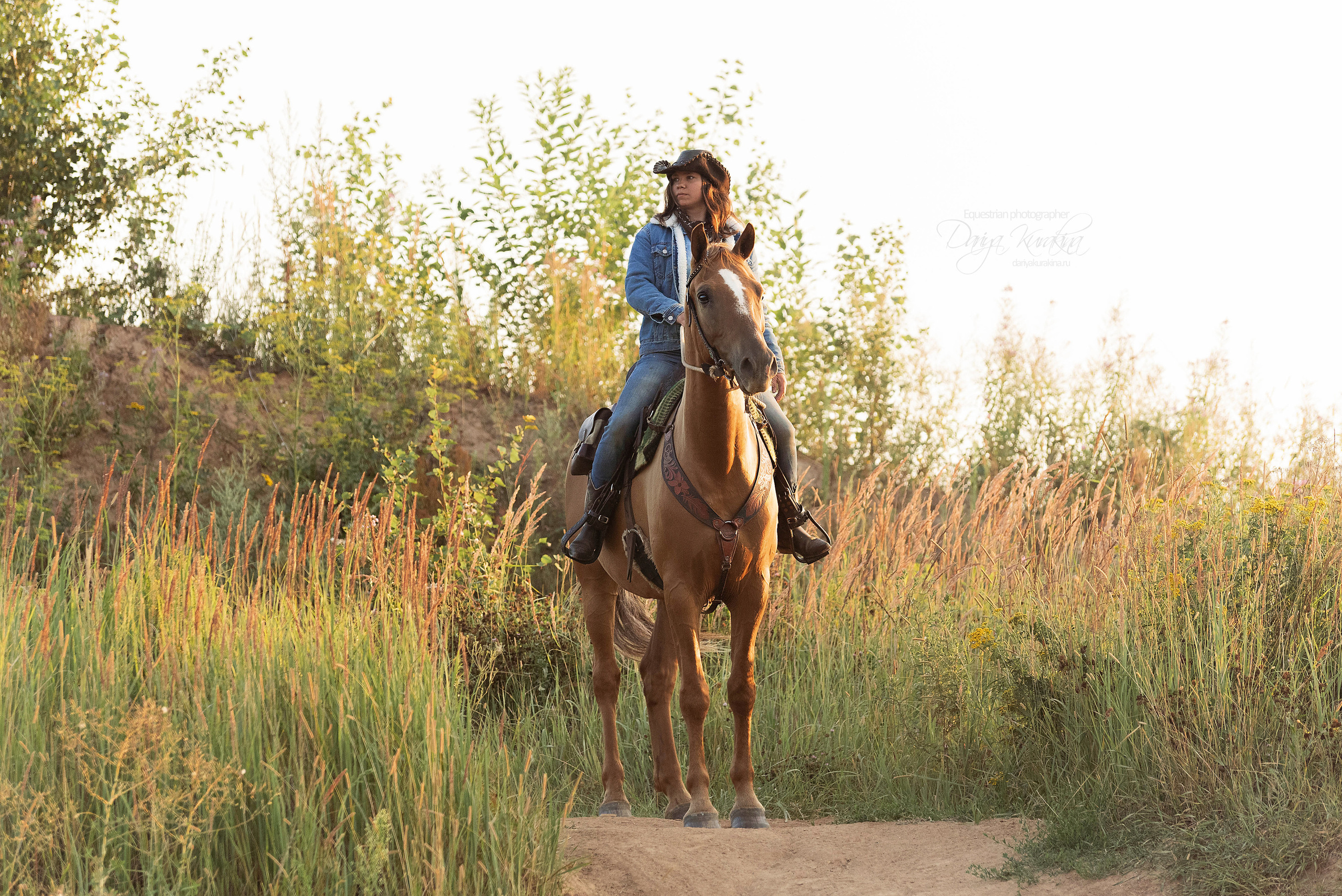 Утреннее перемирие. Конный фотограф Куракина Дарья • Фотосессии с лошадьми