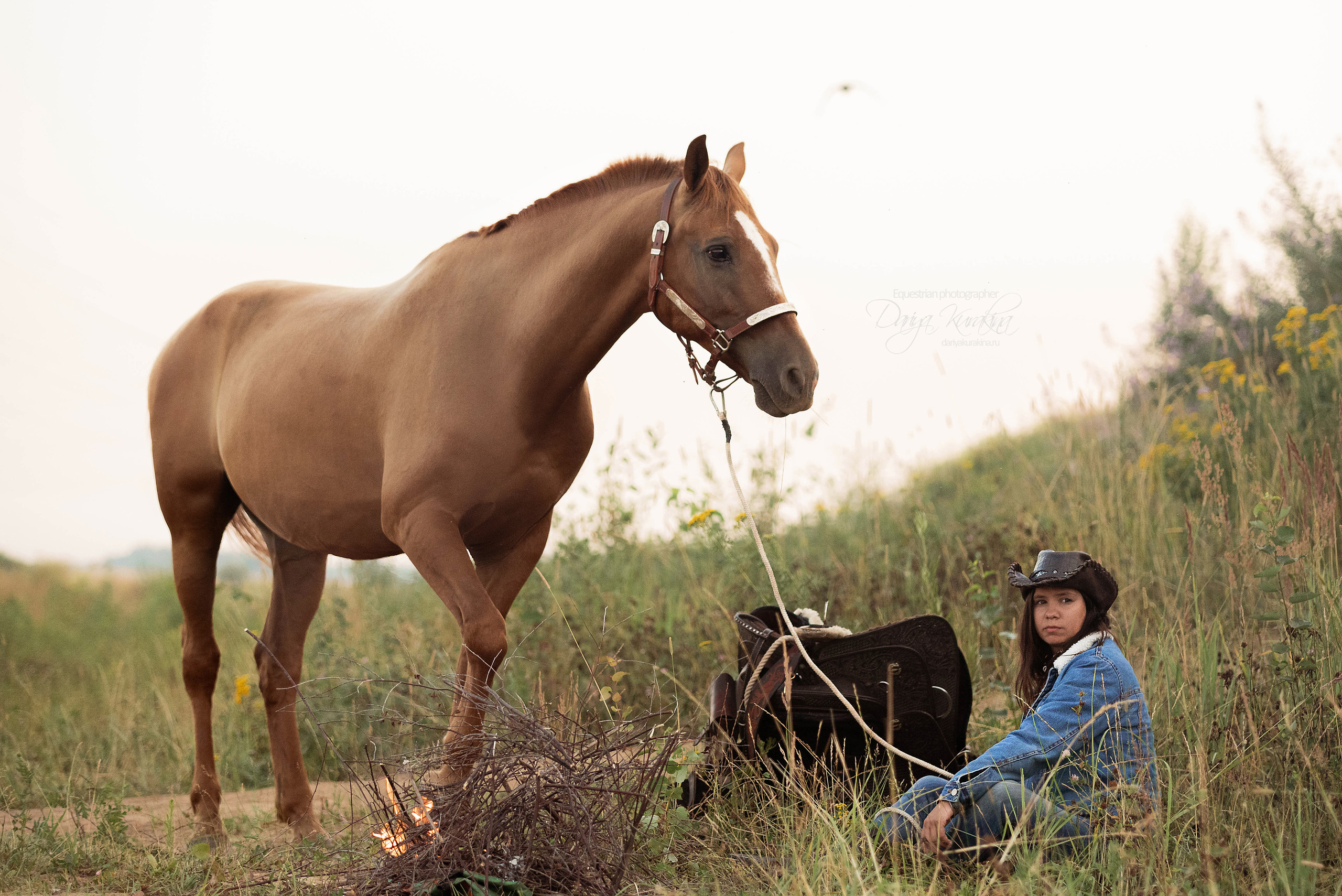 Утреннее перемирие. Конный фотограф Куракина Дарья • Фотосессии с лошадьми