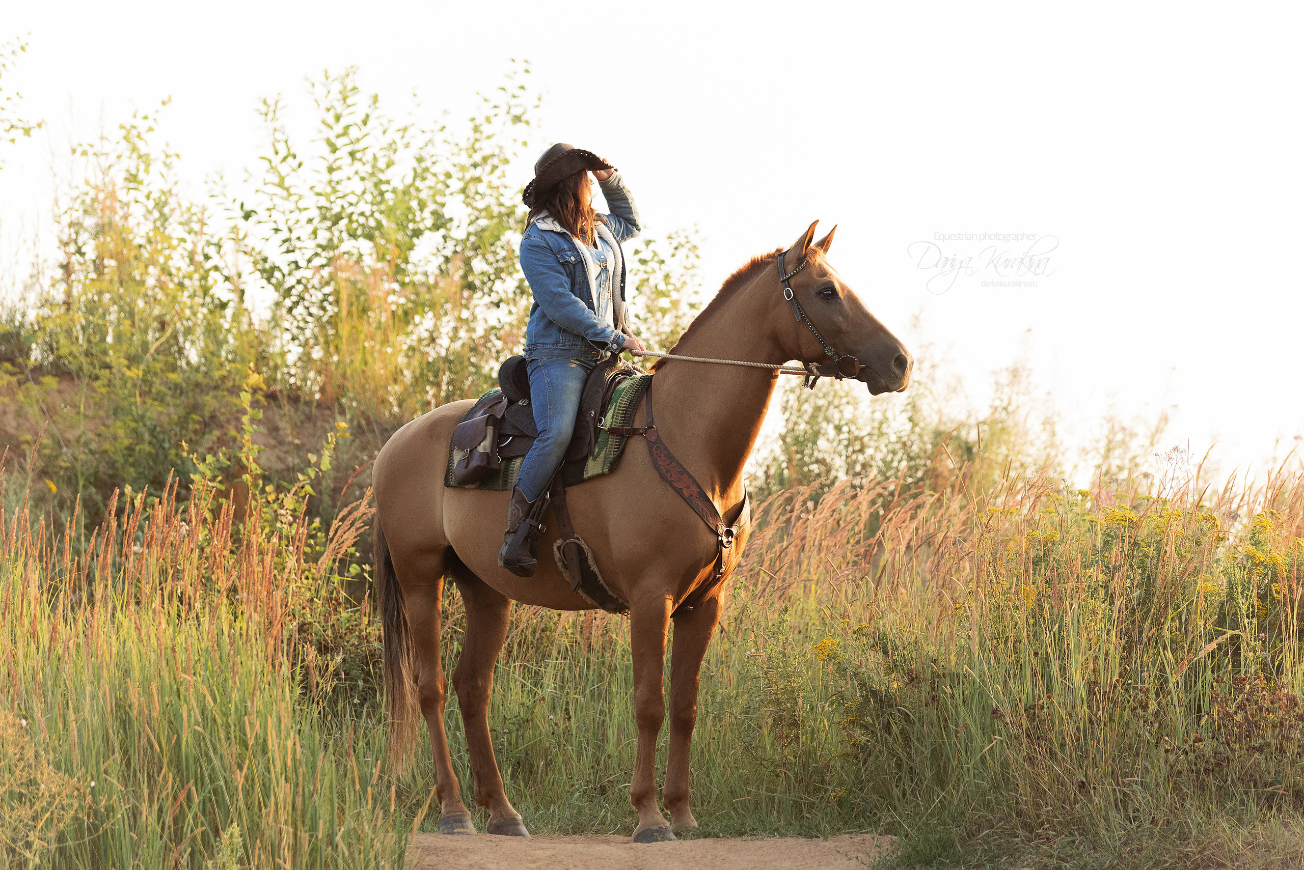 Утреннее перемирие. Конный фотограф Куракина Дарья • Фотосессии с лошадьми