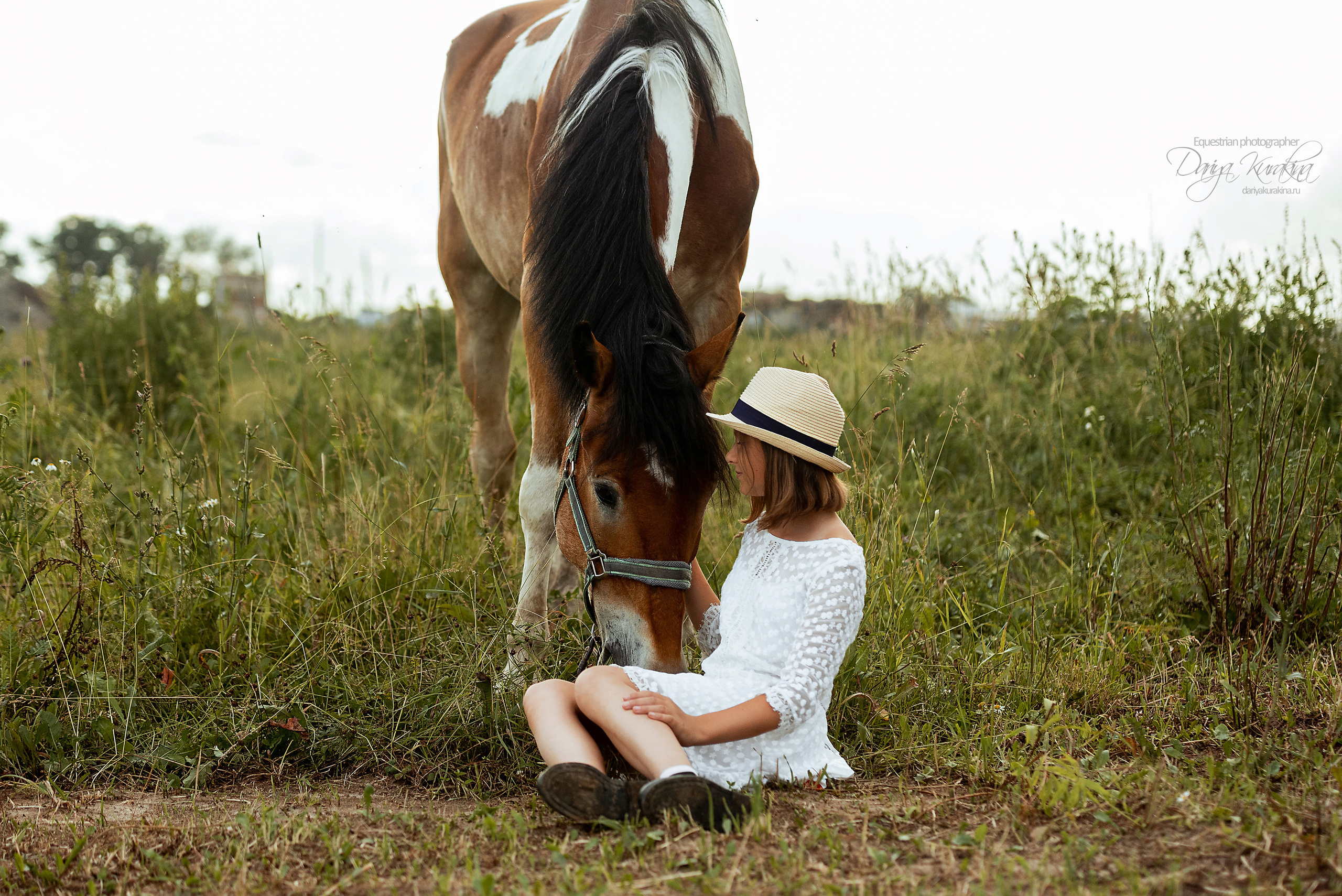 Конь-огонь в поле с семьёй. Конный фотограф Куракина Дарья • Фотосессии с лошадьми