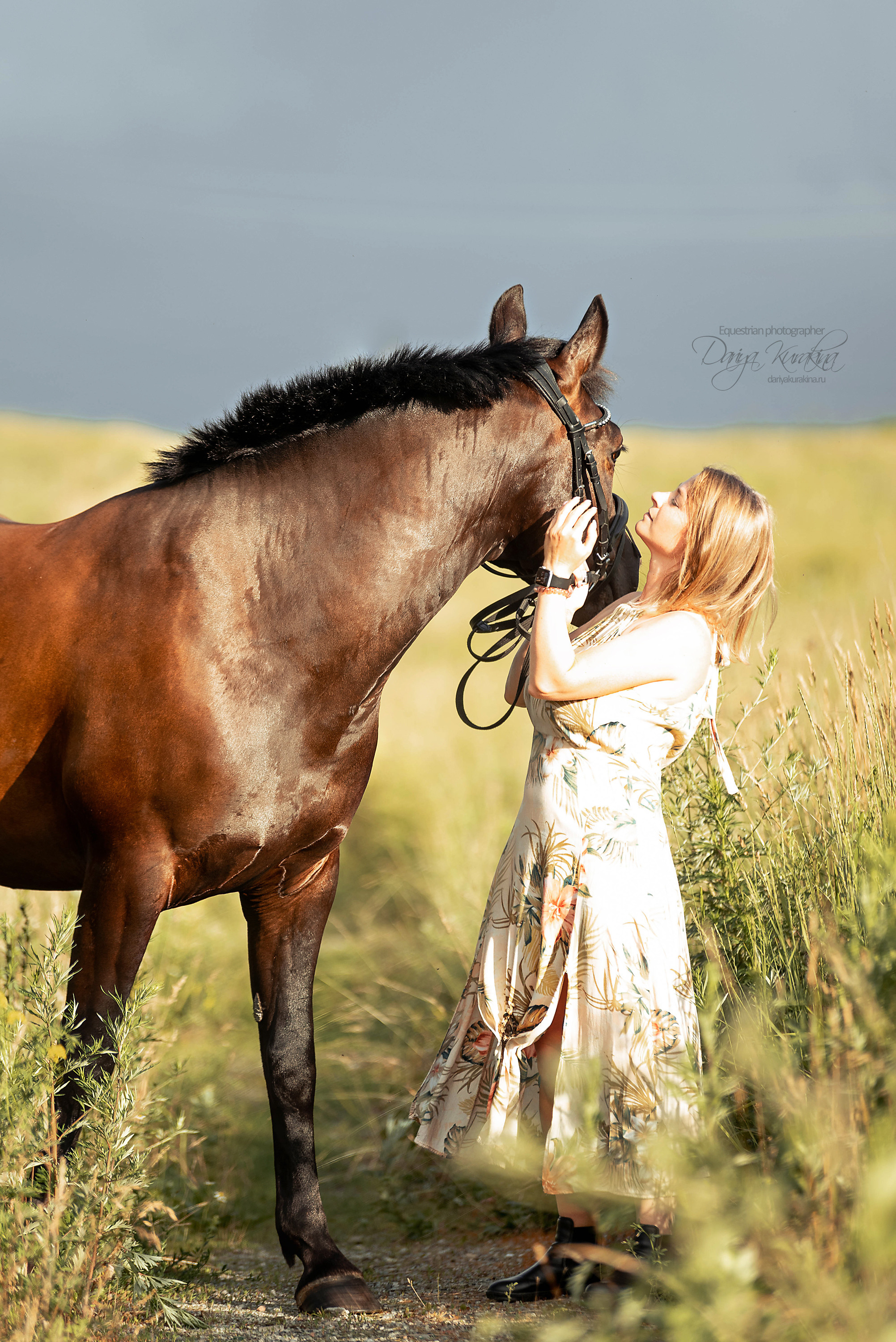 Конь-огонь в поле с семьёй. Конный фотограф Куракина Дарья • Фотосессии с лошадьми