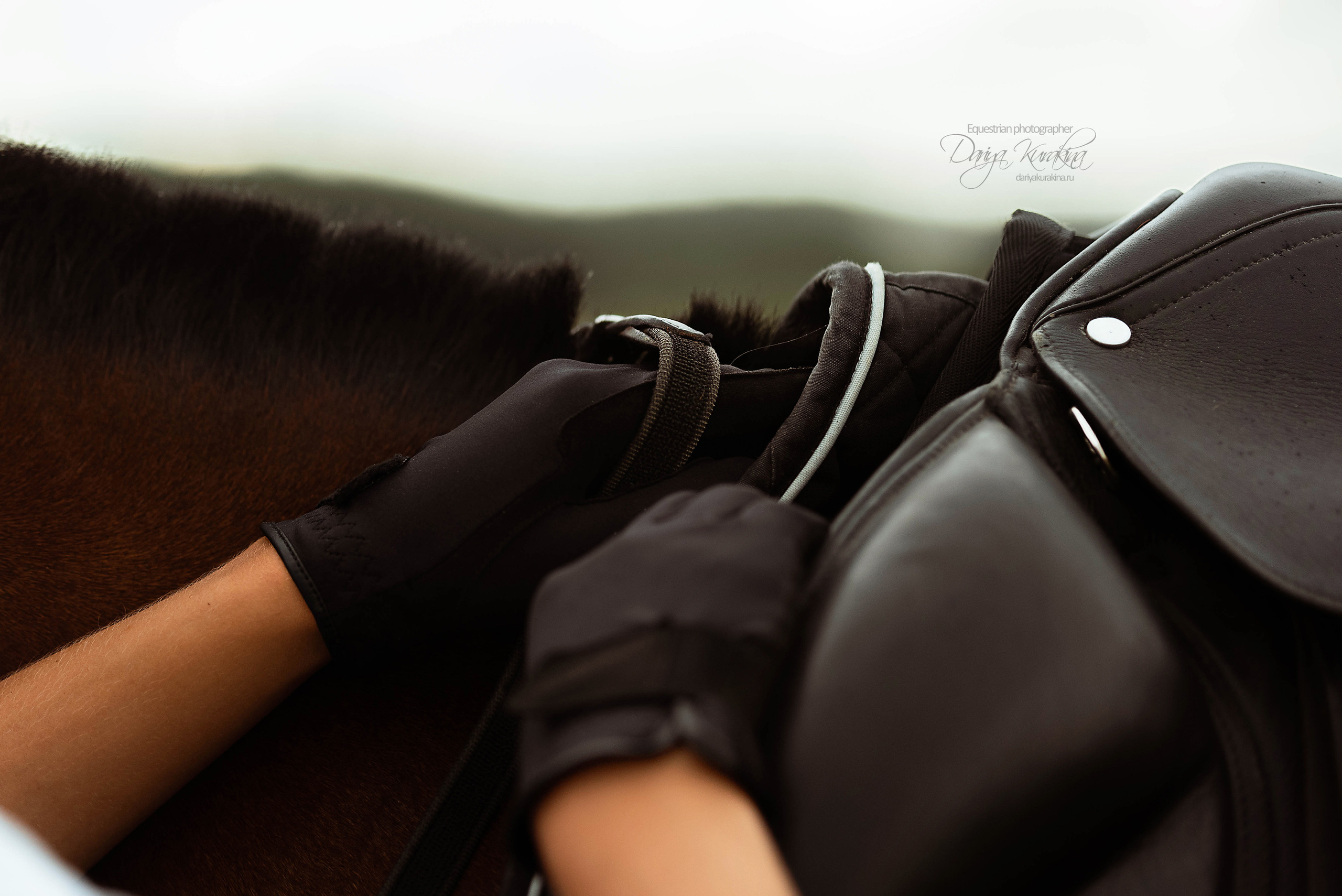 Полевая Формула-1. Конный фотограф Куракина Дарья • Фотосессии с лошадьми
