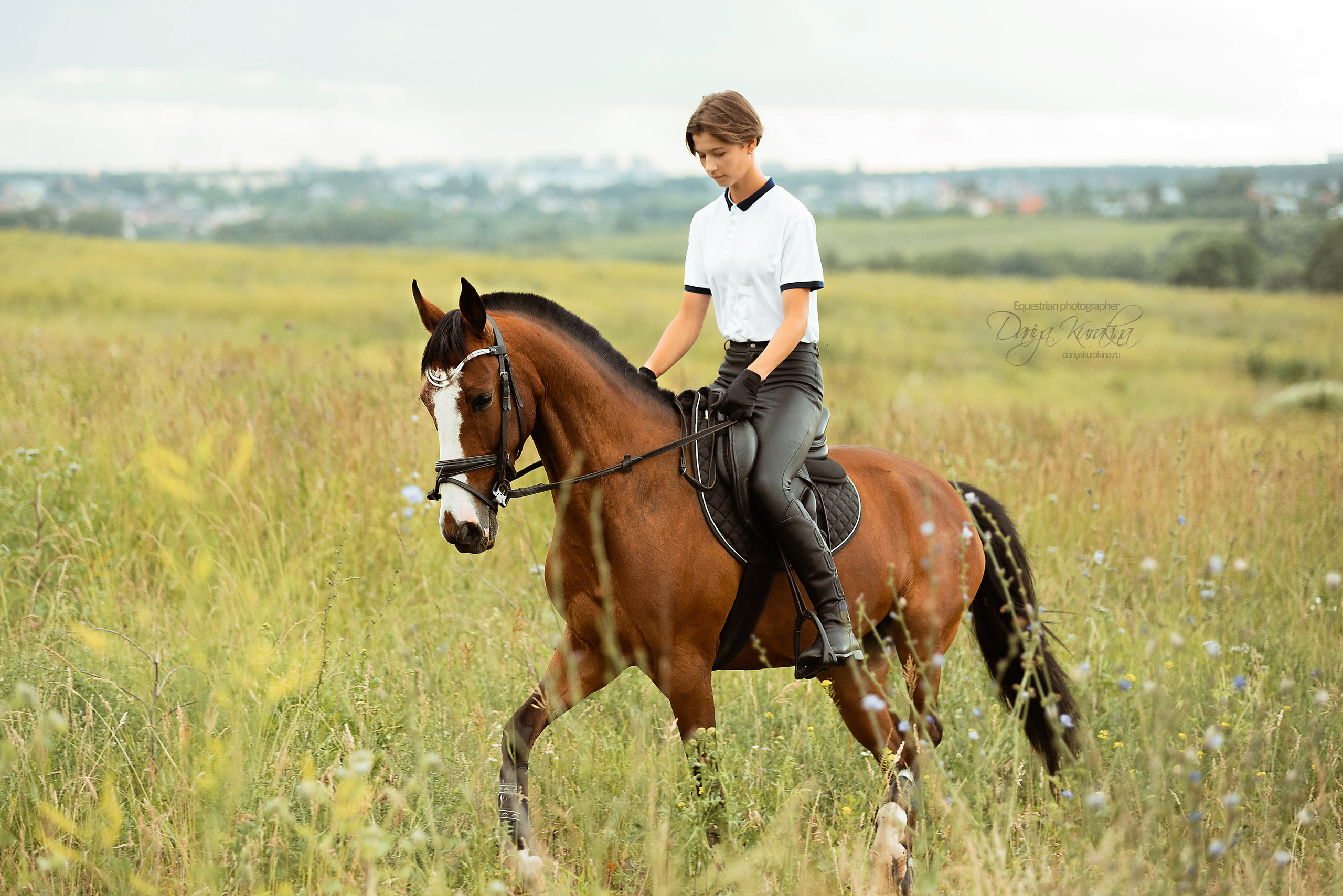 Полевая Формула-1. Конный фотограф Куракина Дарья • Фотосессии с лошадьми