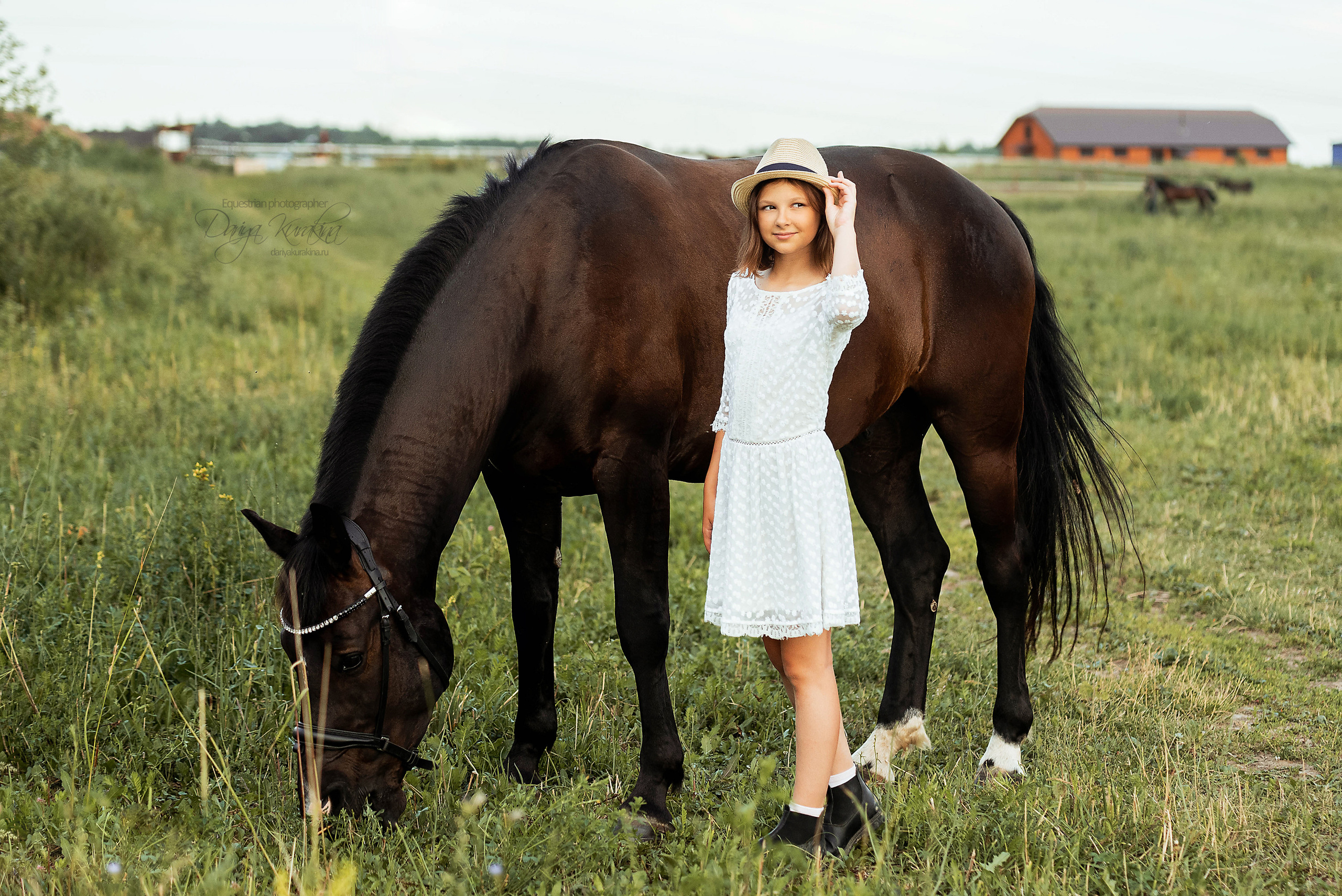 Конь-огонь в поле с семьёй. Конный фотограф Куракина Дарья • Фотосессии с лошадьми