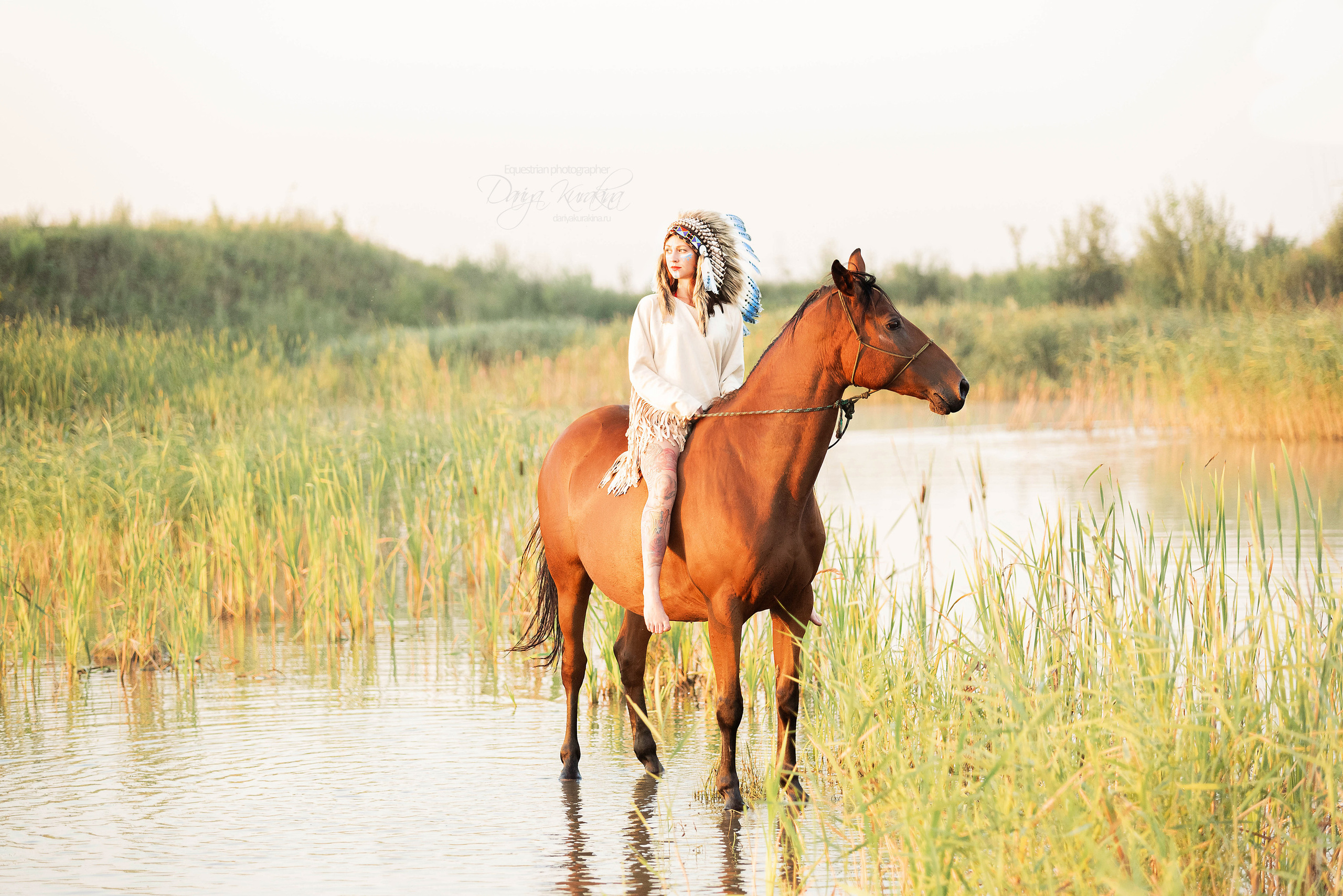 Утреннее перемирие. Конный фотограф Куракина Дарья • Фотосессии с лошадьми