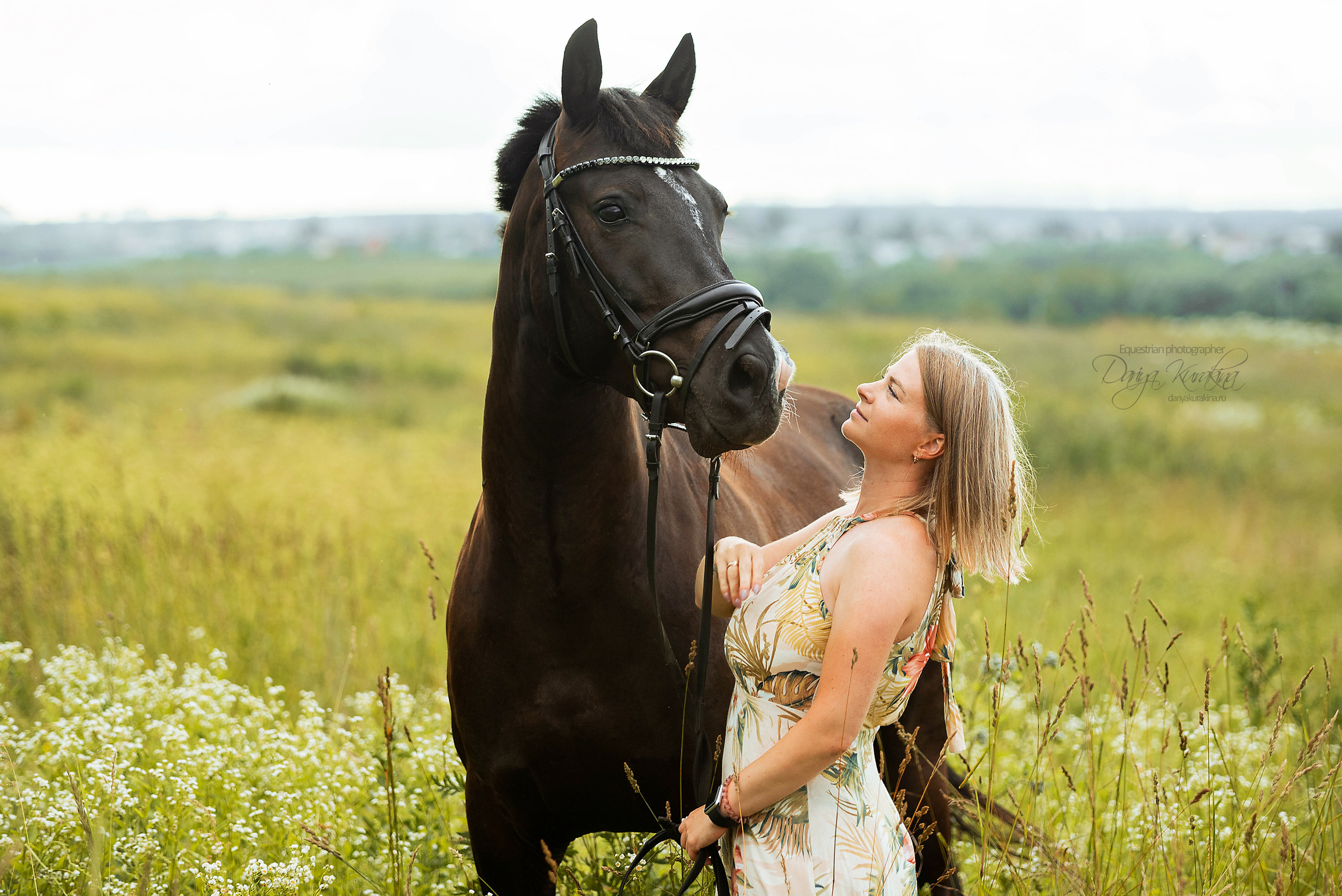 Конь-огонь в поле с семьёй. Конный фотограф Куракина Дарья • Фотосессии с лошадьми