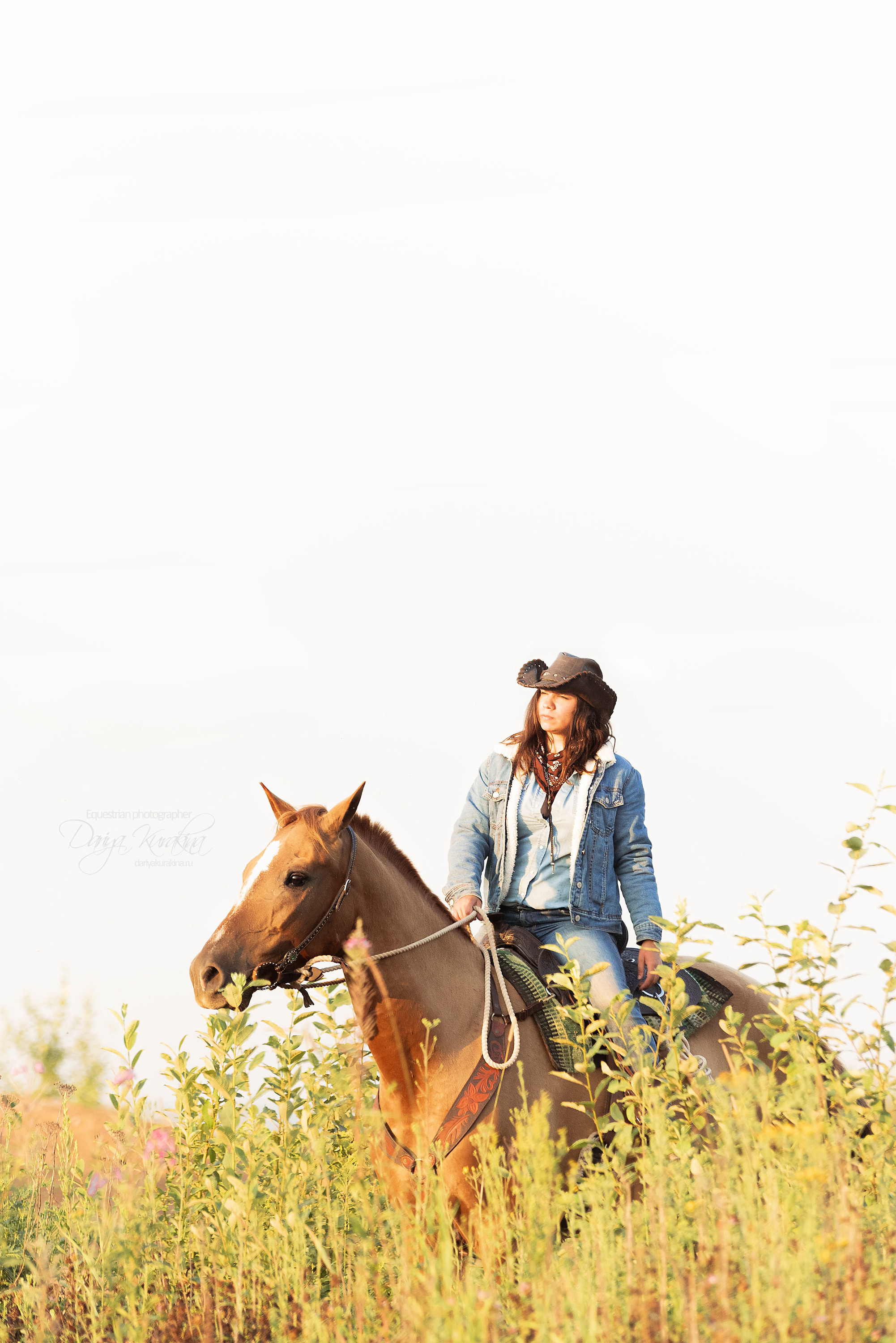 Утреннее перемирие. Конный фотограф Куракина Дарья • Фотосессии с лошадьми