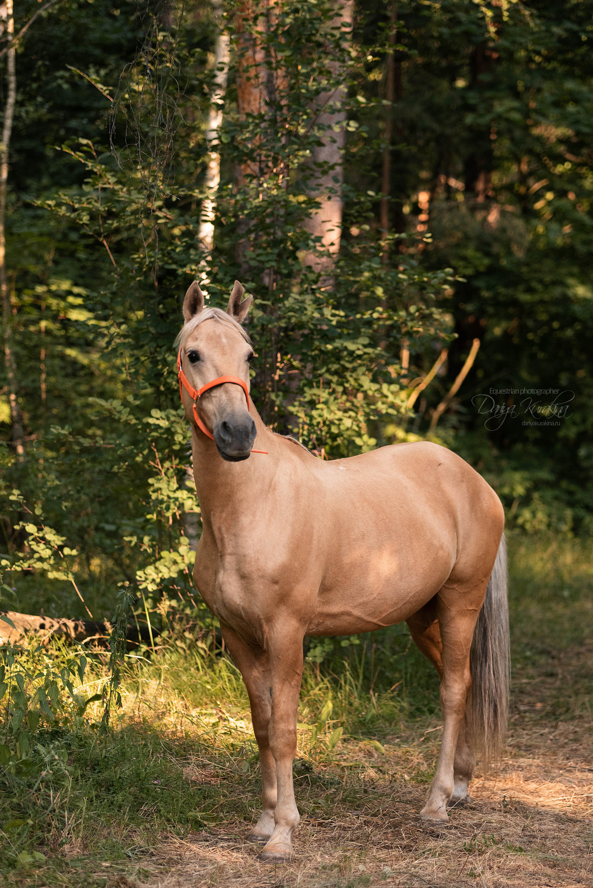 Силя и Лёля. Конный фотограф Куракина Дарья • Фотосессии с лошадьми
