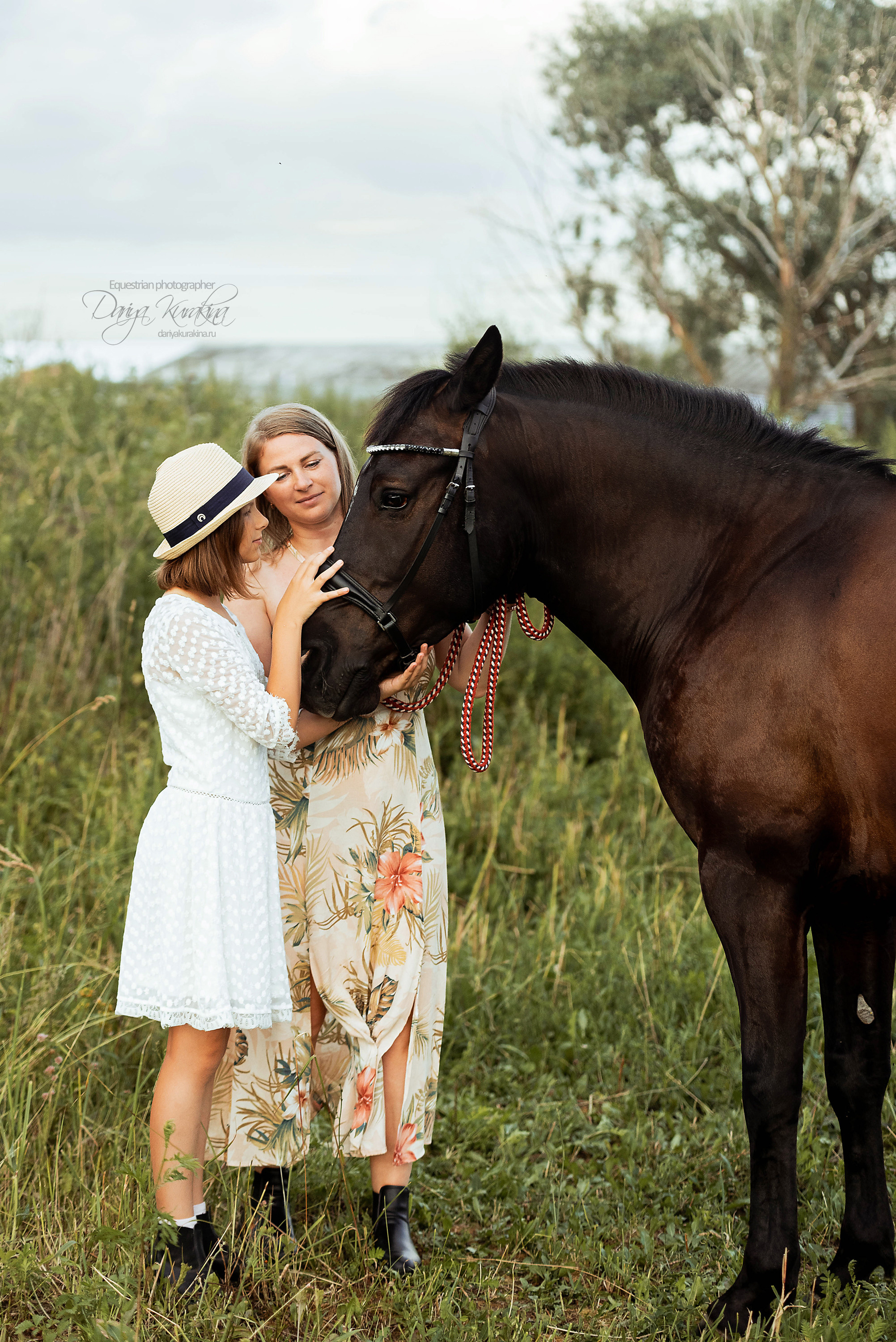 Конь-огонь в поле с семьёй. Конный фотограф Куракина Дарья • Фотосессии с лошадьми