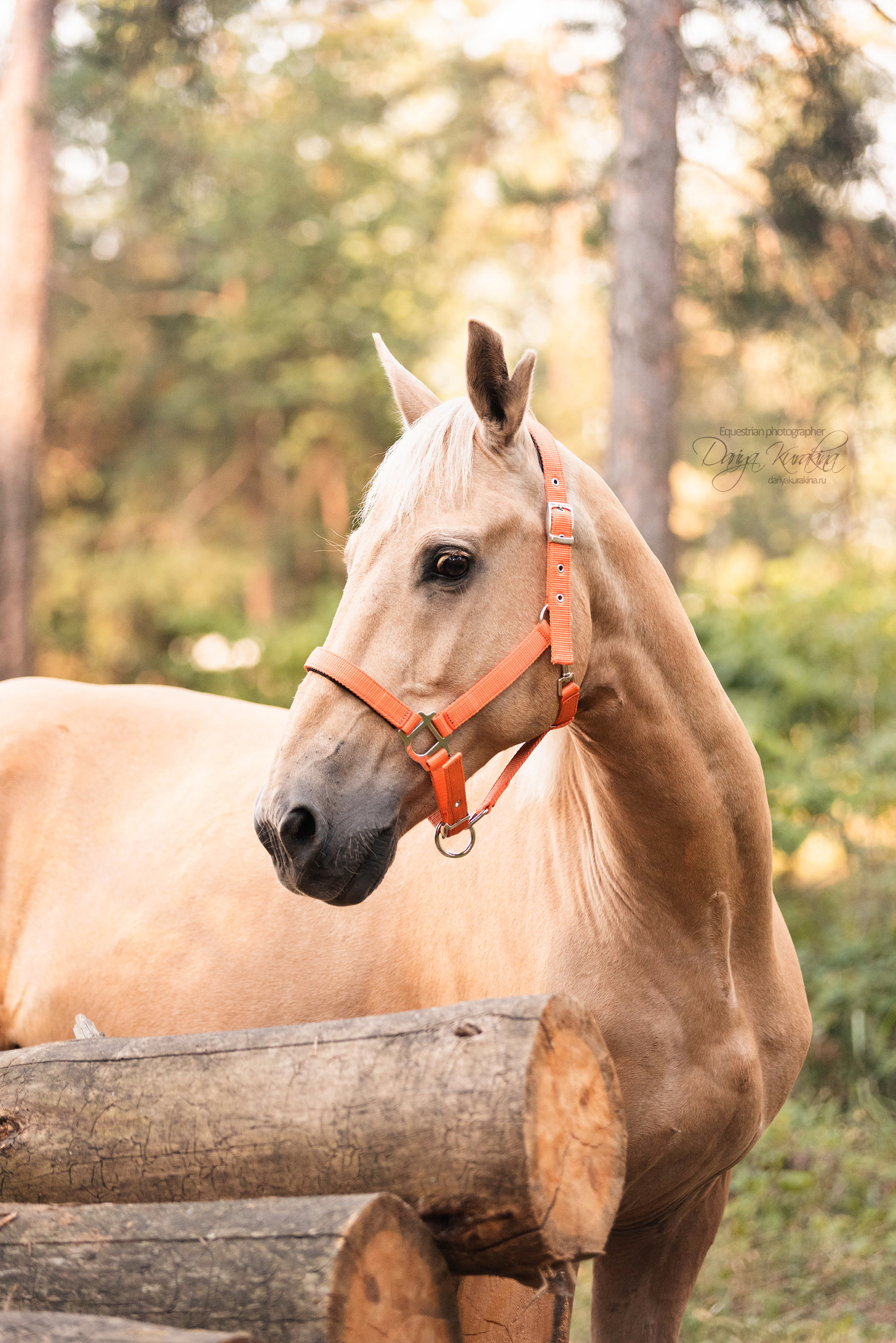 Силя и Лёля. Конный фотограф Куракина Дарья • Фотосессии с лошадьми