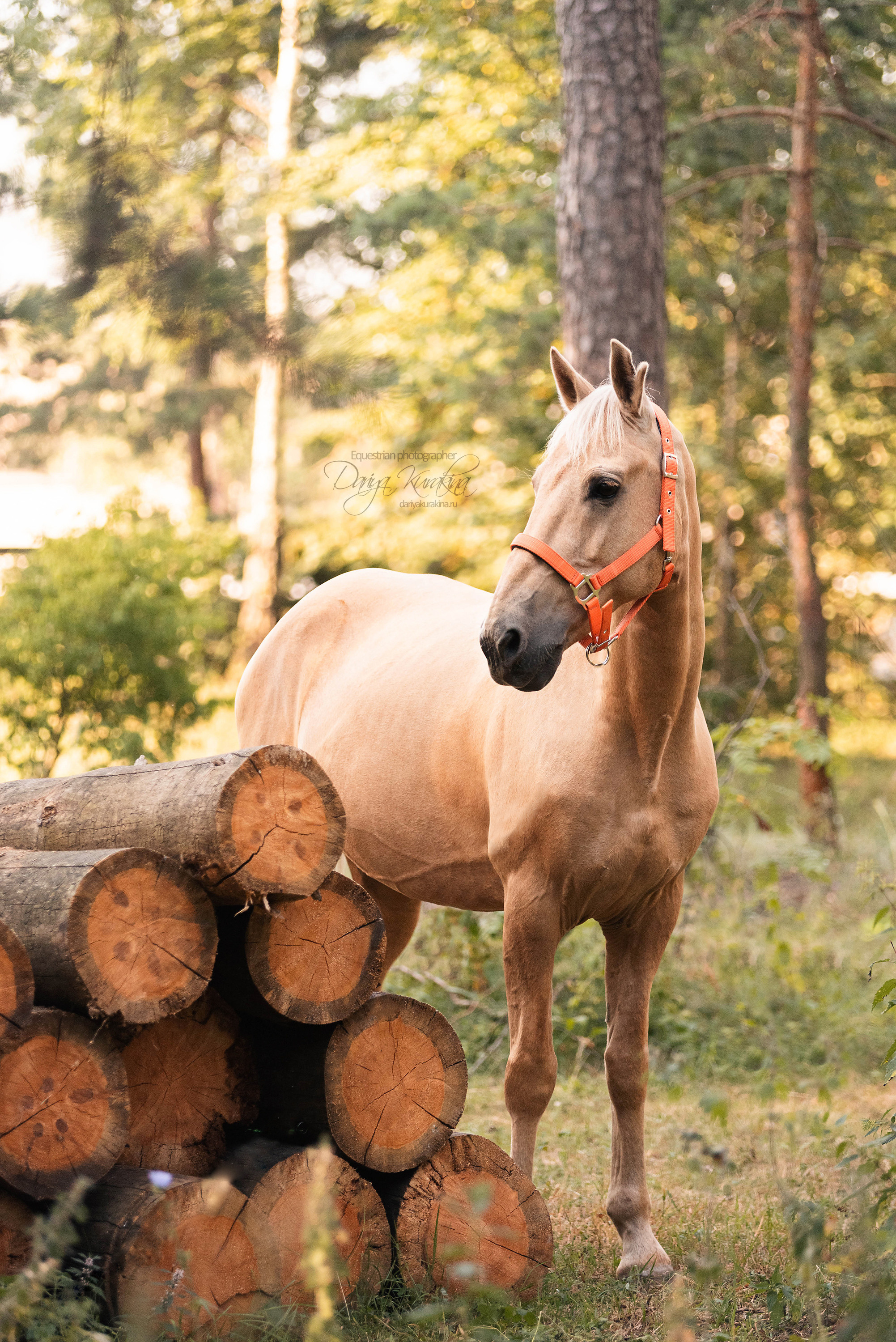 Силя и Лёля. Конный фотограф Куракина Дарья • Фотосессии с лошадьми