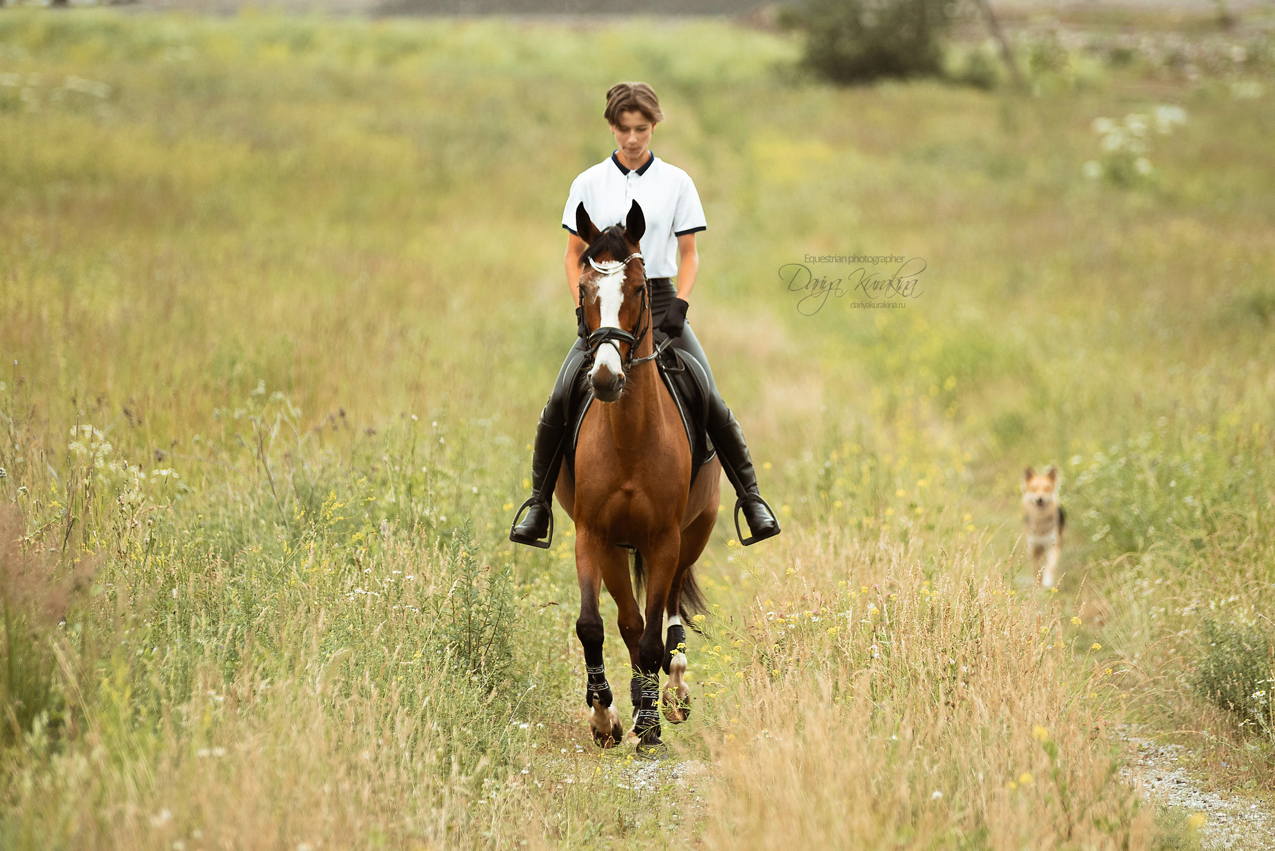Полевая Формула-1. Конный фотограф Куракина Дарья • Фотосессии с лошадьми