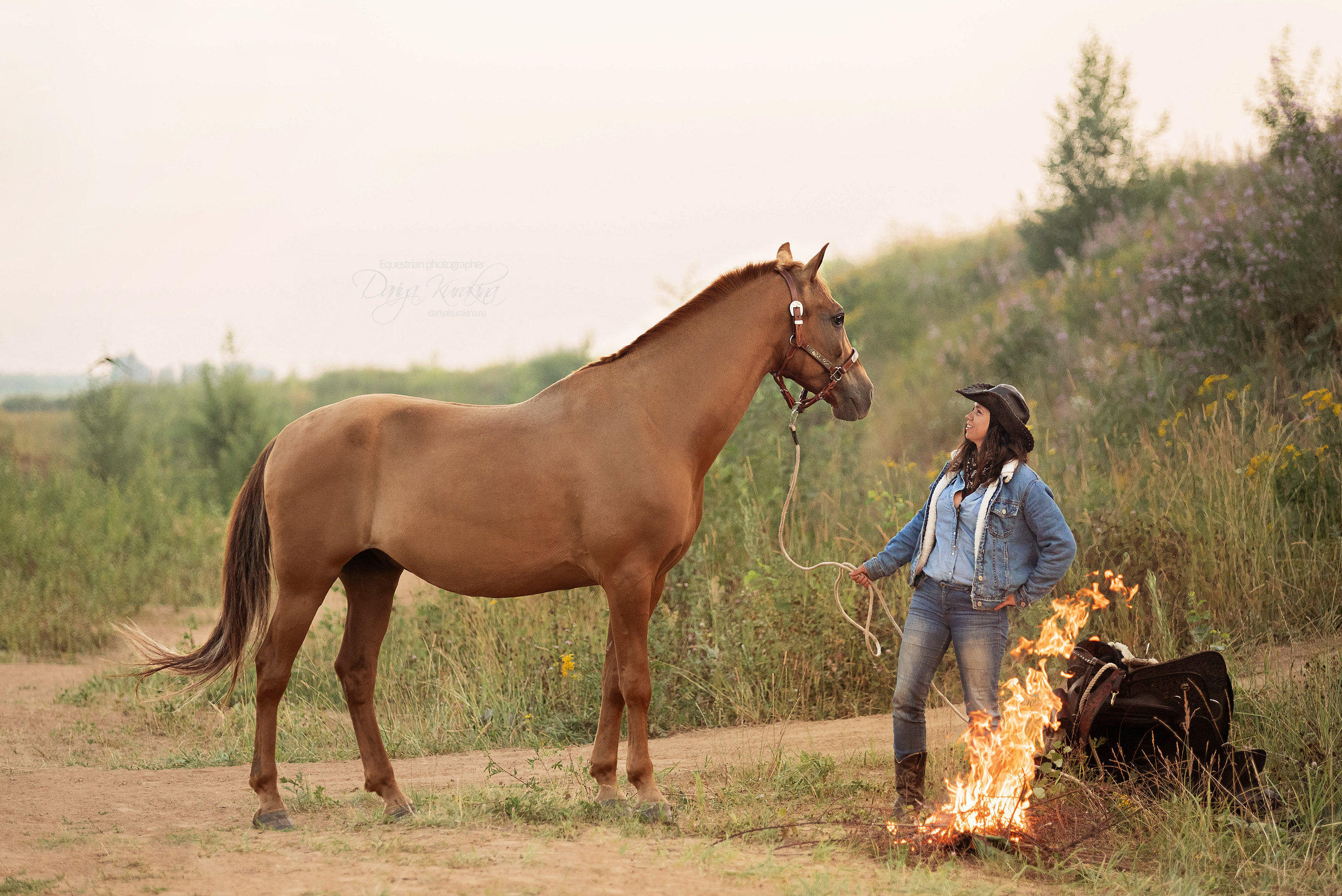 Утреннее перемирие. Конный фотограф Куракина Дарья • Фотосессии с лошадьми