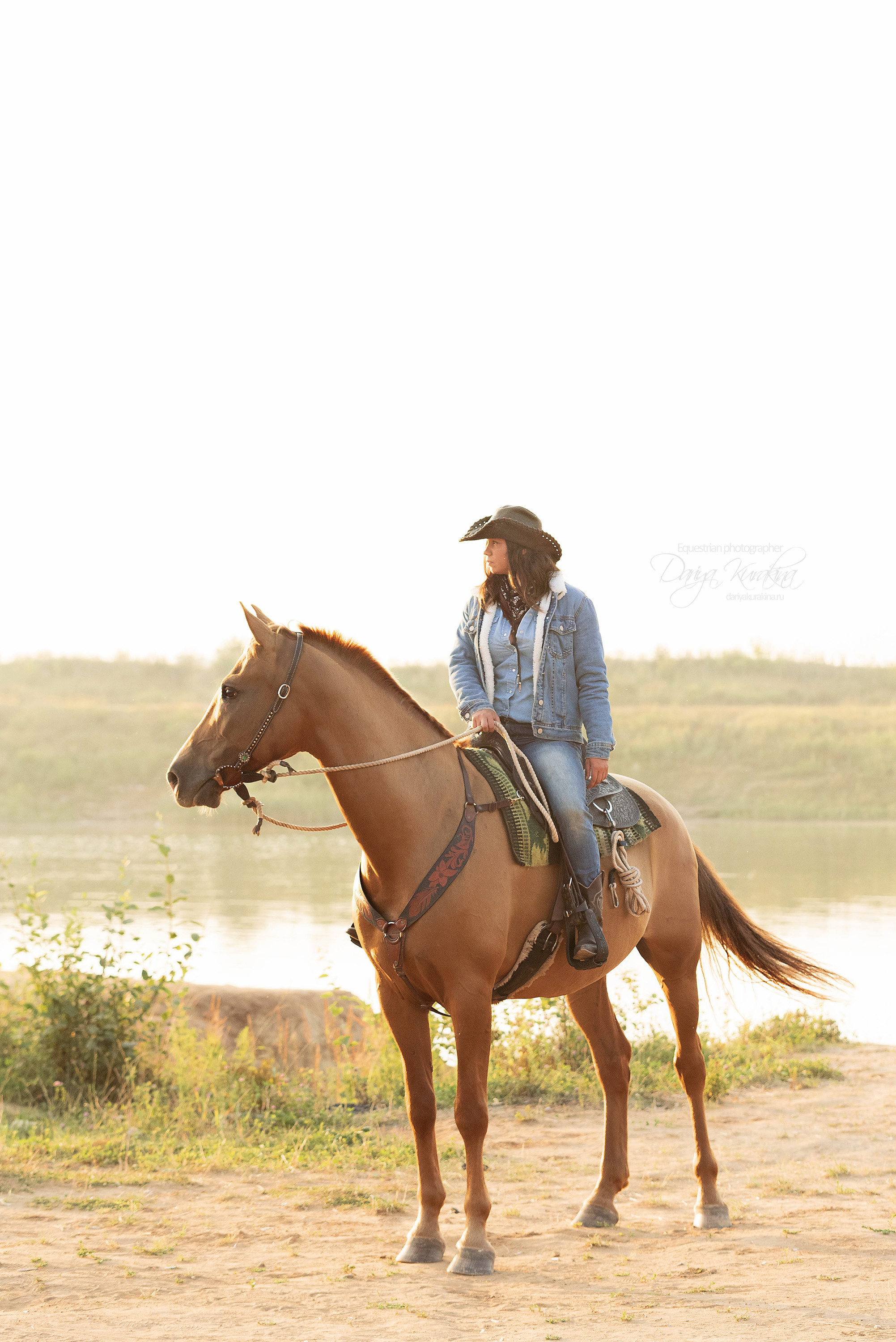 Утреннее перемирие. Конный фотограф Куракина Дарья • Фотосессии с лошадьми