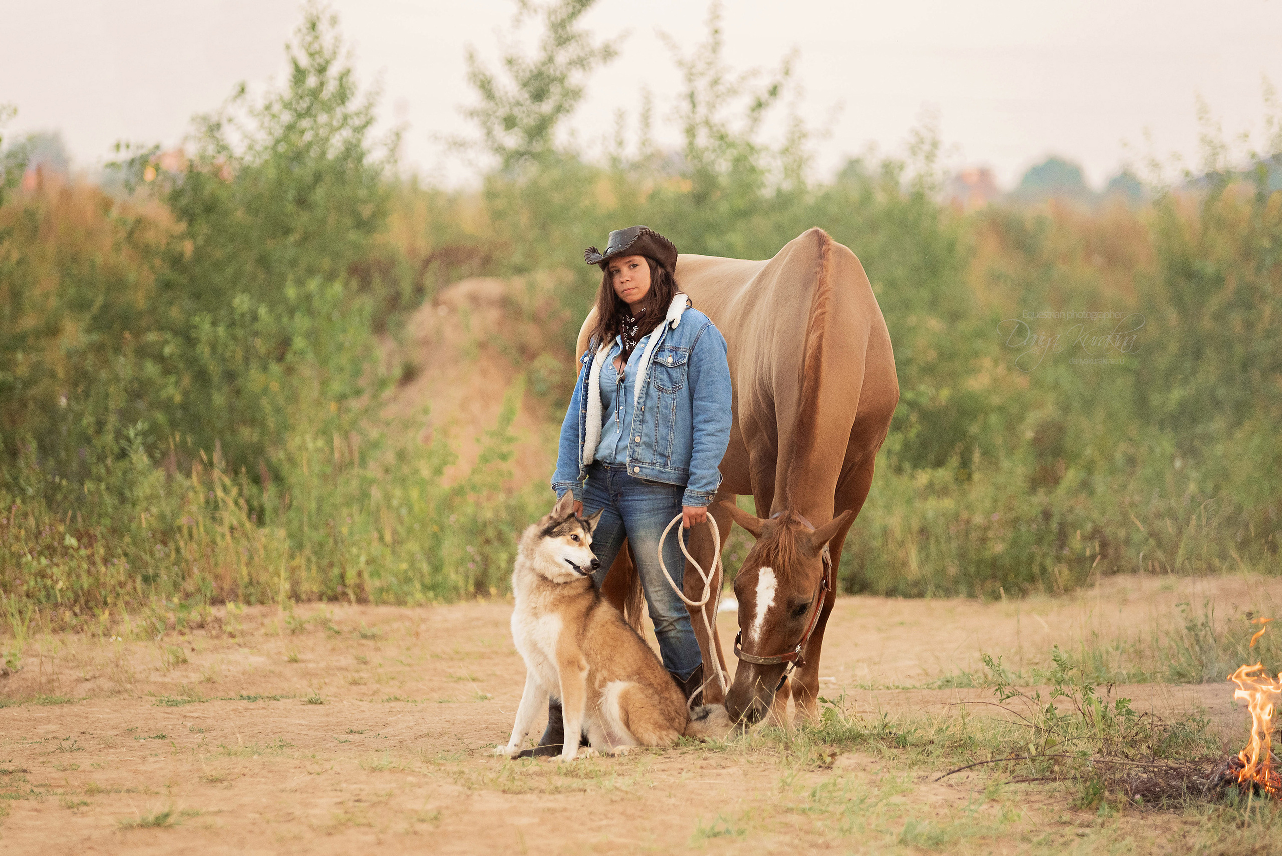 Утреннее перемирие. Конный фотограф Куракина Дарья • Фотосессии с лошадьми