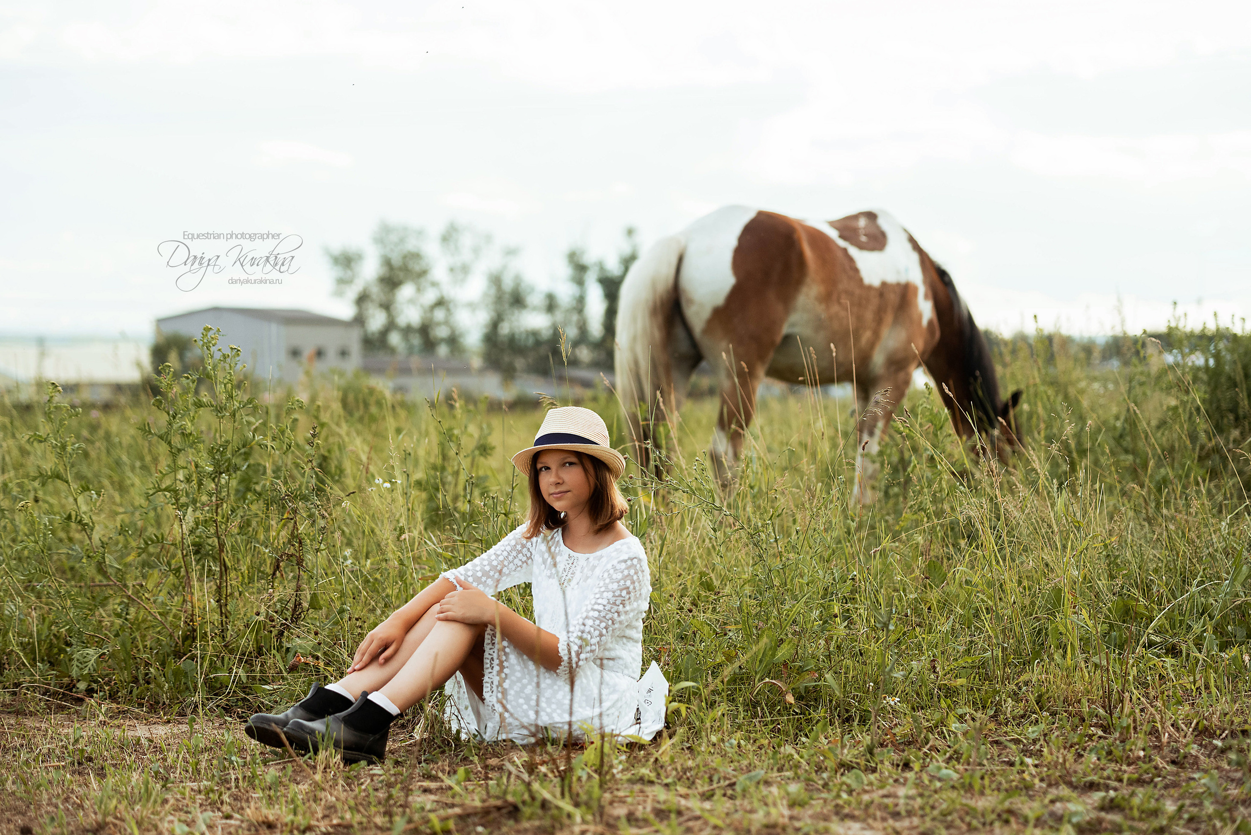 Конь-огонь в поле с семьёй. Конный фотограф Куракина Дарья • Фотосессии с лошадьми