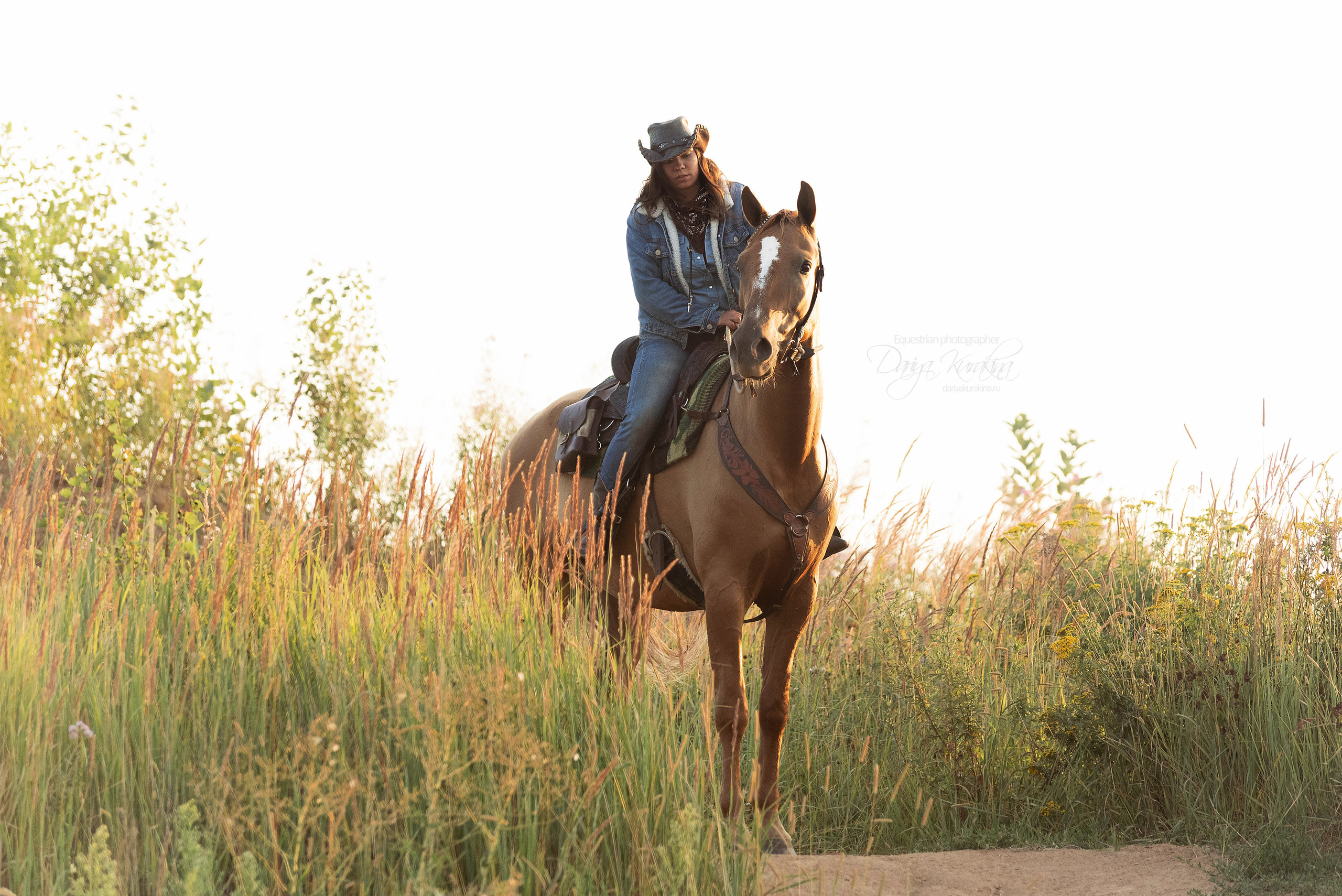Утреннее перемирие. Конный фотограф Куракина Дарья • Фотосессии с лошадьми