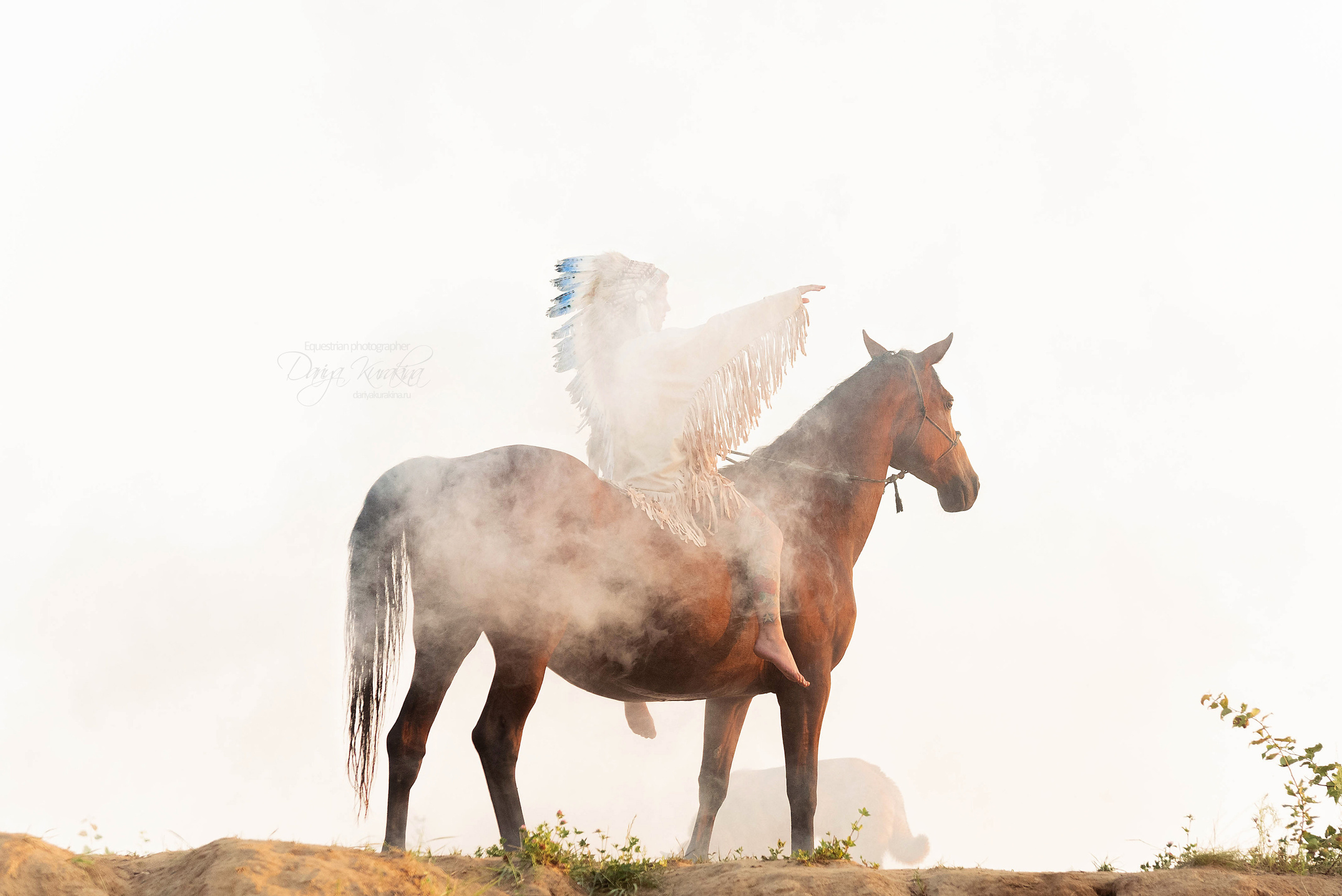Утреннее перемирие. Конный фотограф Куракина Дарья • Фотосессии с лошадьми