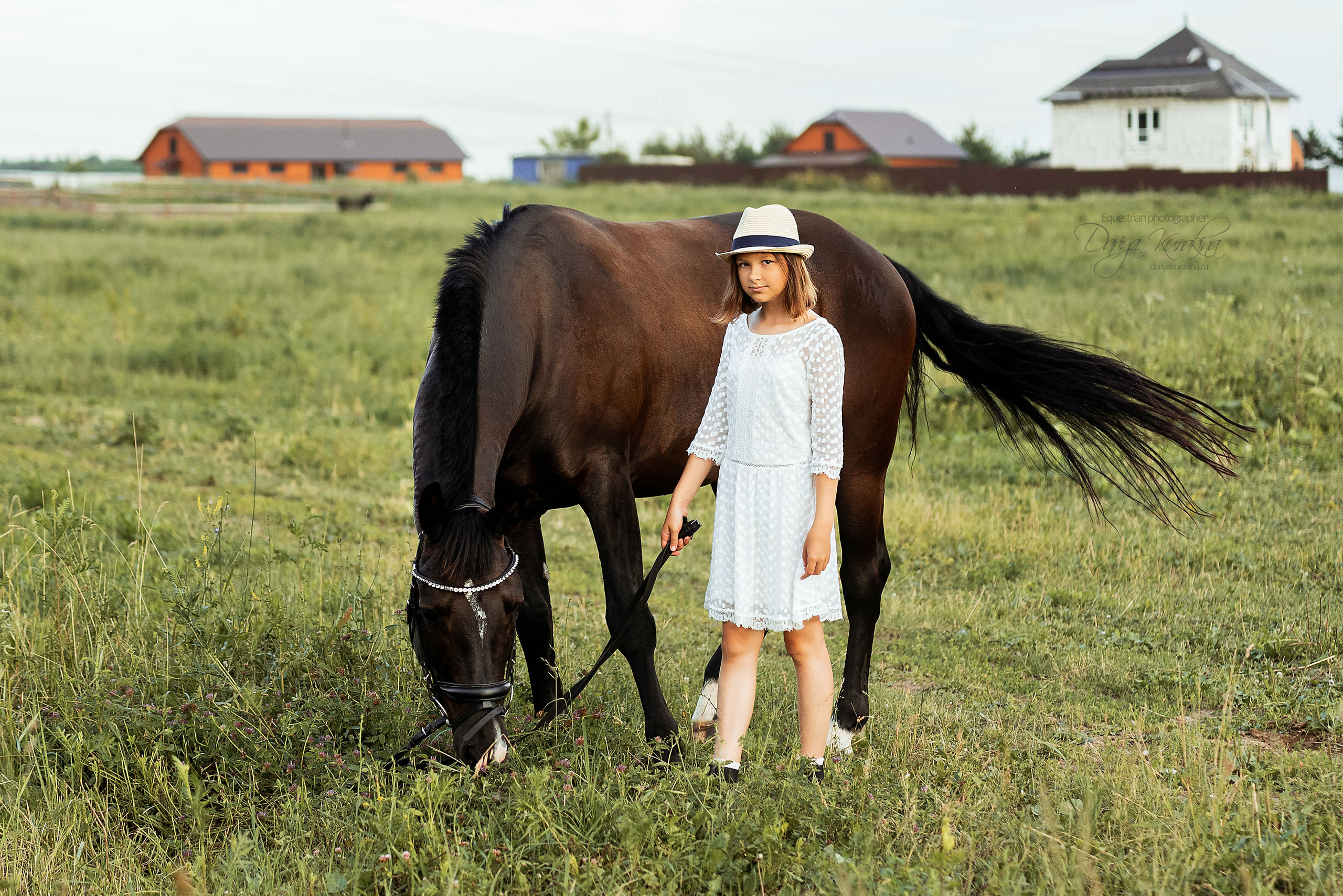 Конь-огонь в поле с семьёй. Конный фотограф Куракина Дарья • Фотосессии с лошадьми