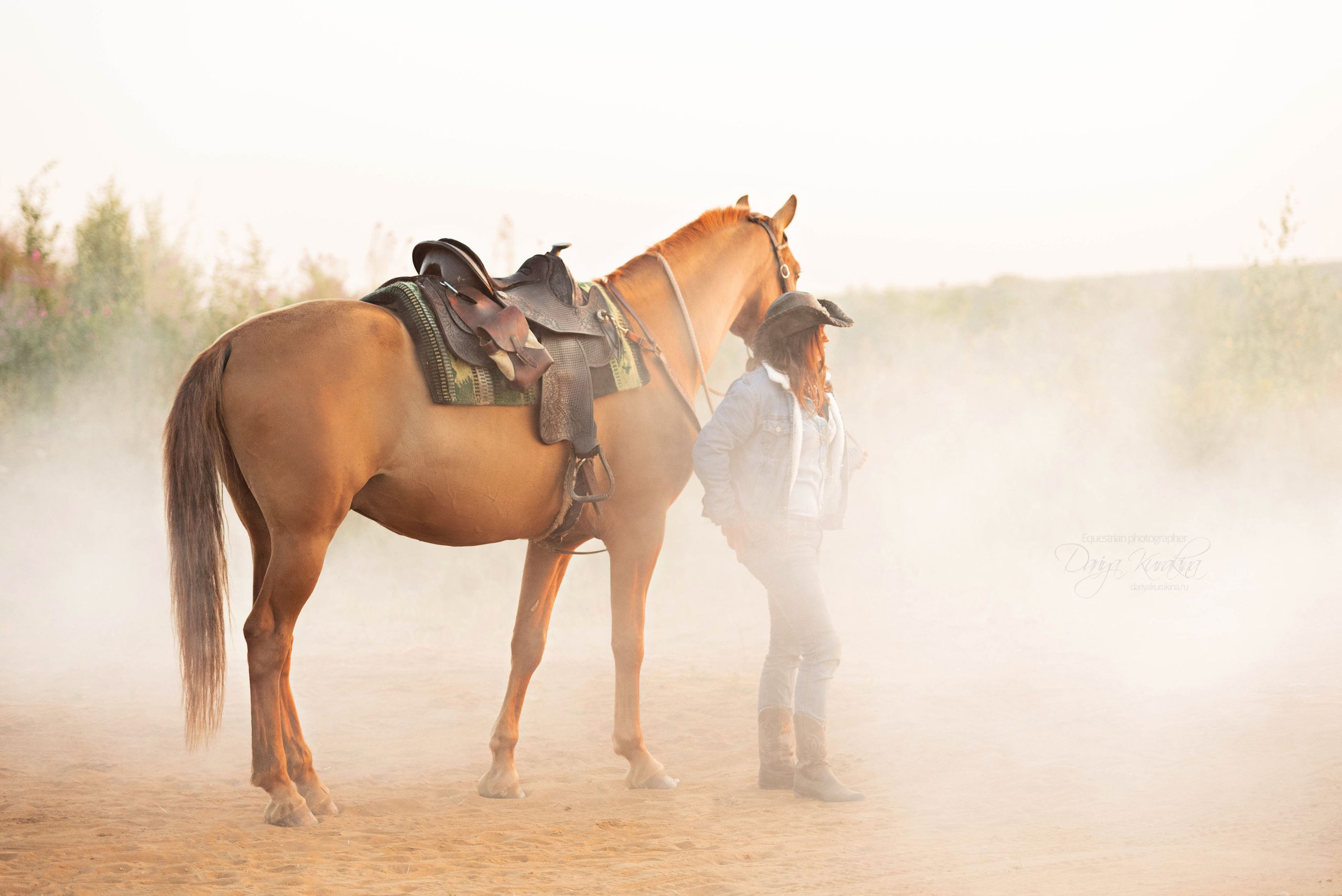 Утреннее перемирие. Конный фотограф Куракина Дарья • Фотосессии с лошадьми