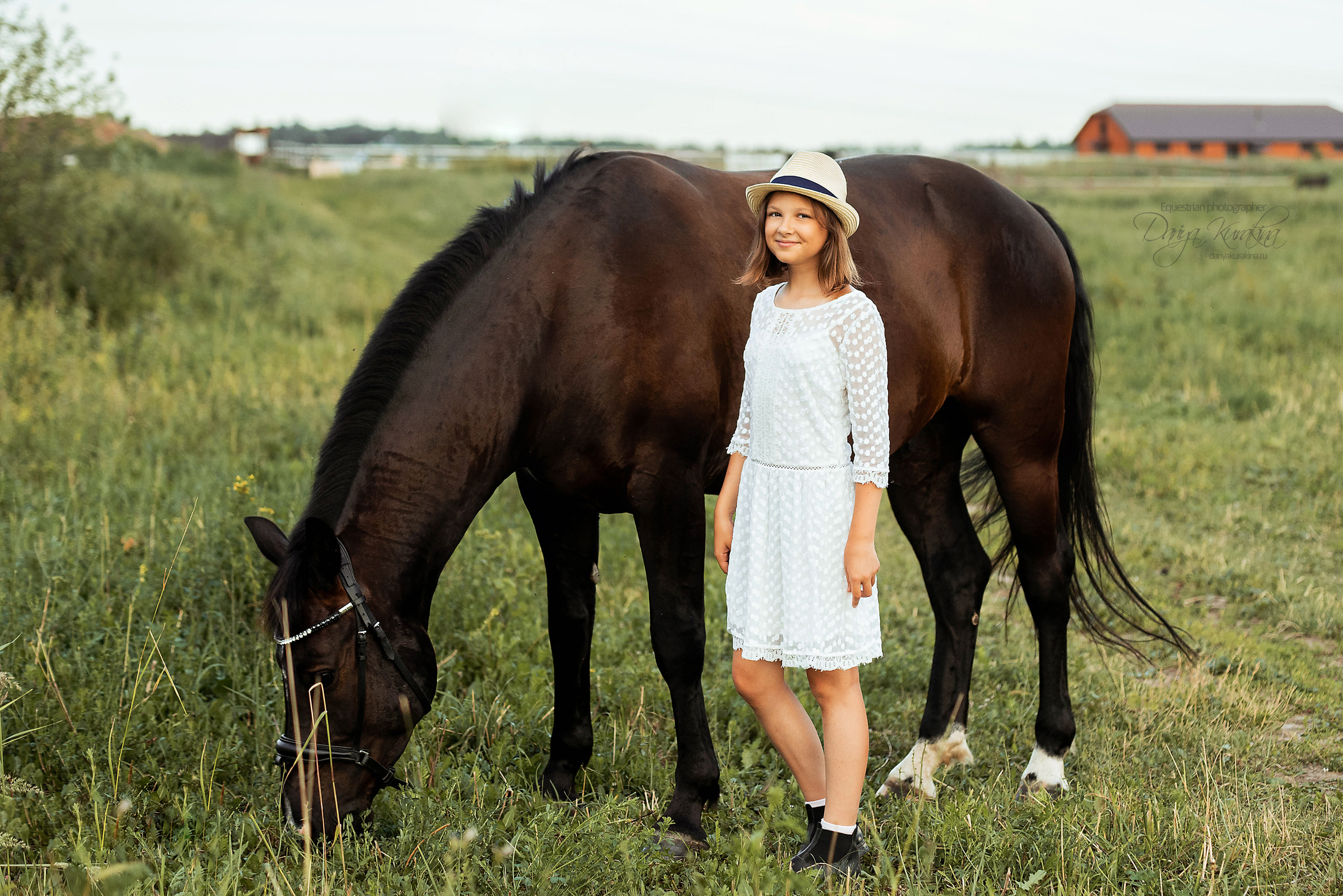 Конь-огонь в поле с семьёй. Конный фотограф Куракина Дарья • Фотосессии с лошадьми