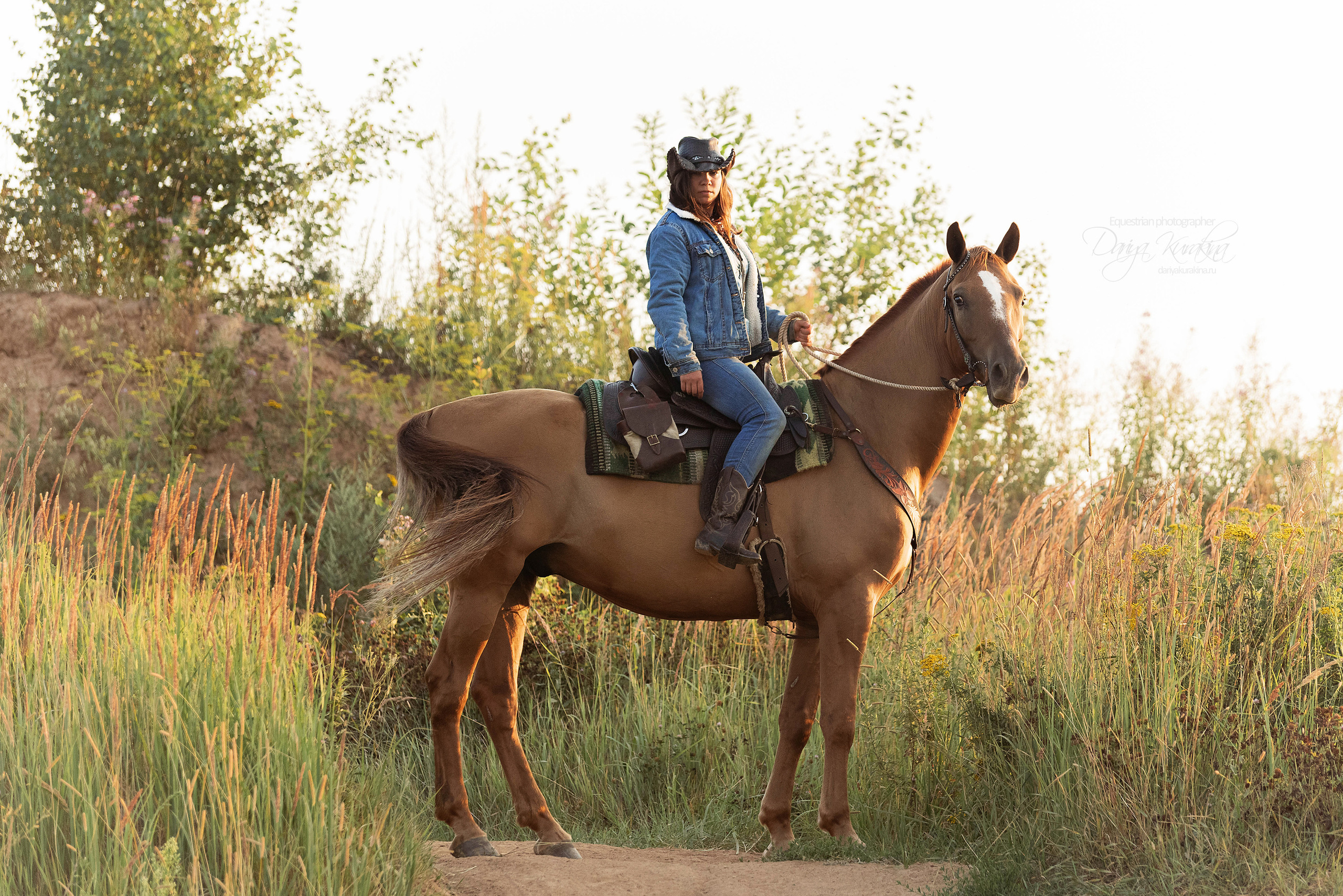 Утреннее перемирие. Конный фотограф Куракина Дарья • Фотосессии с лошадьми