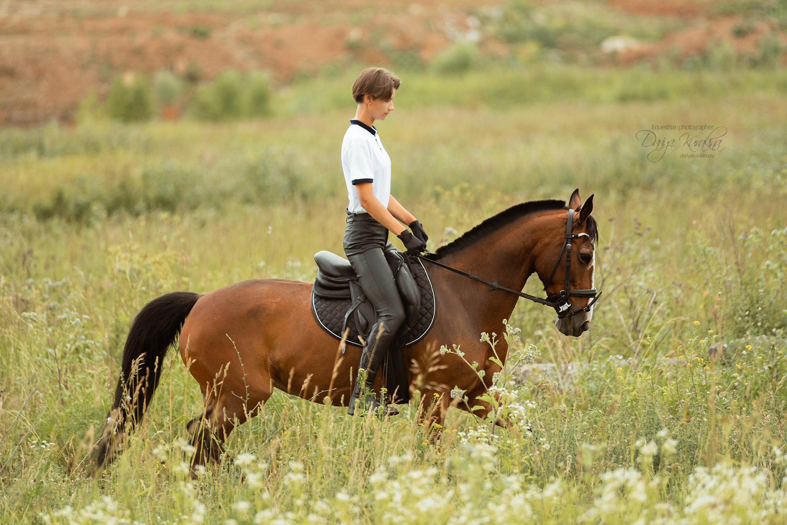 Полевая Формула-1. Конный фотограф Куракина Дарья • Фотосессии с лошадьми