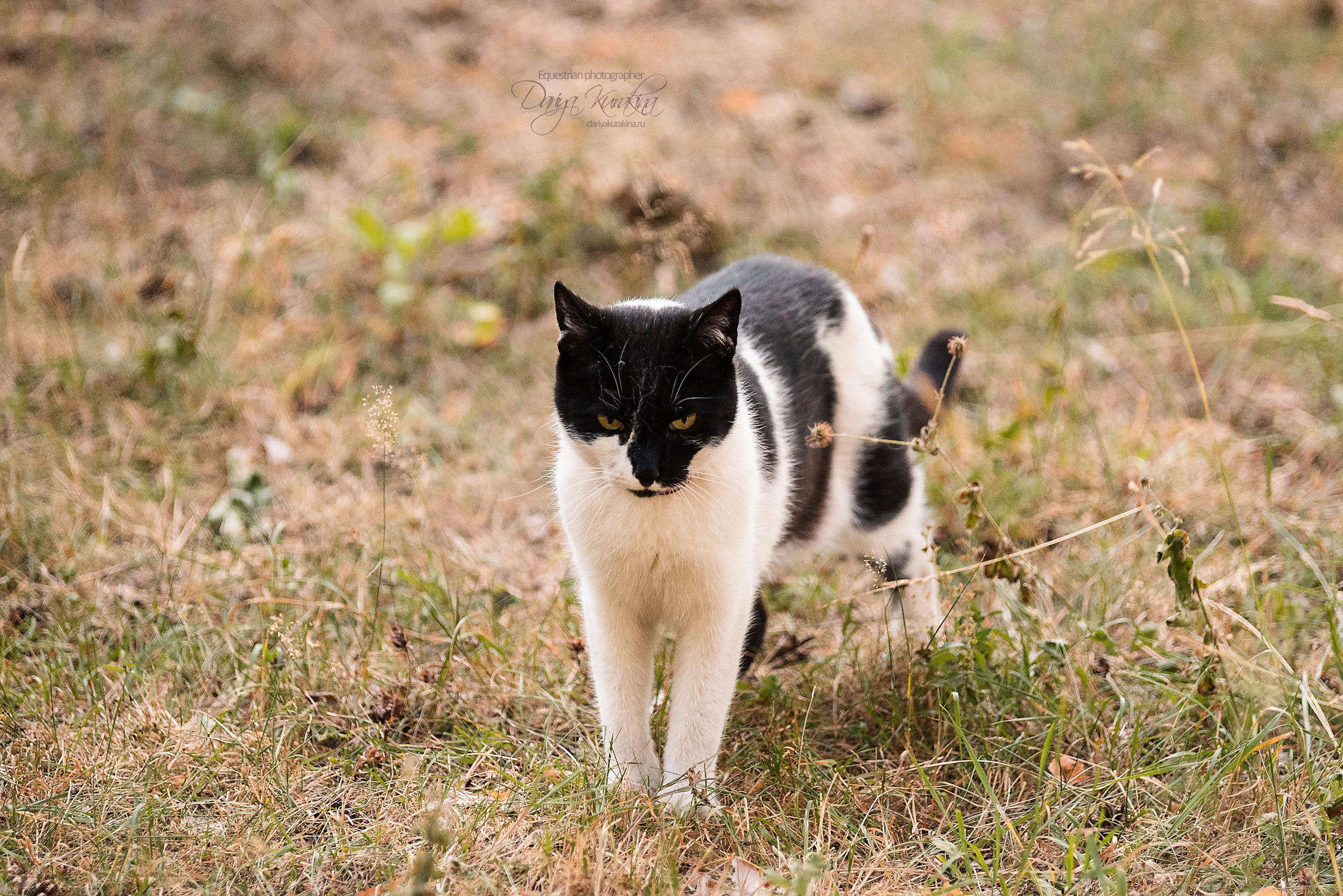Силя и Лёля. Конный фотограф Куракина Дарья • Фотосессии с лошадьми