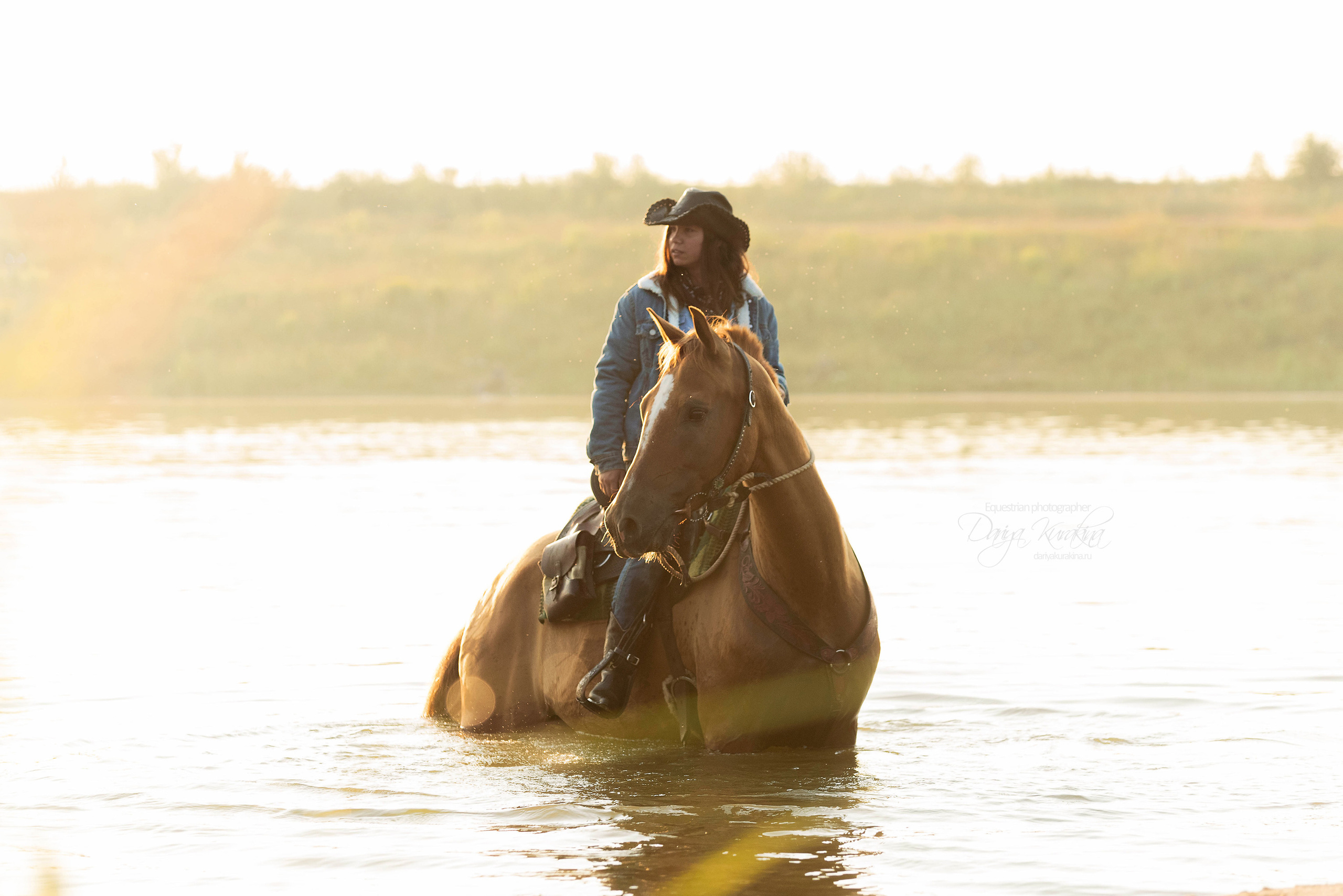 Утреннее перемирие. Конный фотограф Куракина Дарья • Фотосессии с лошадьми