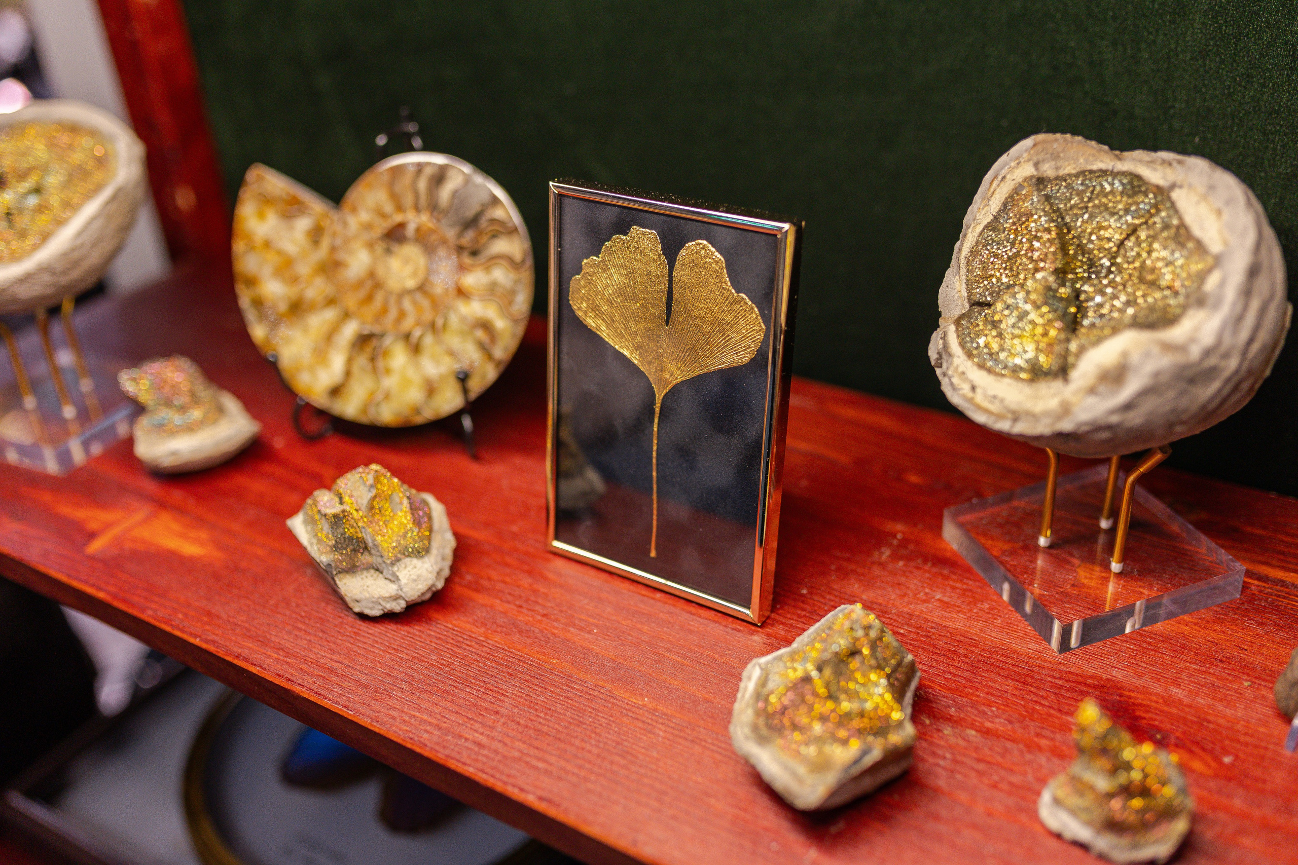 Орхидиум 12.2025. Александра Куликова фотограф, Москва