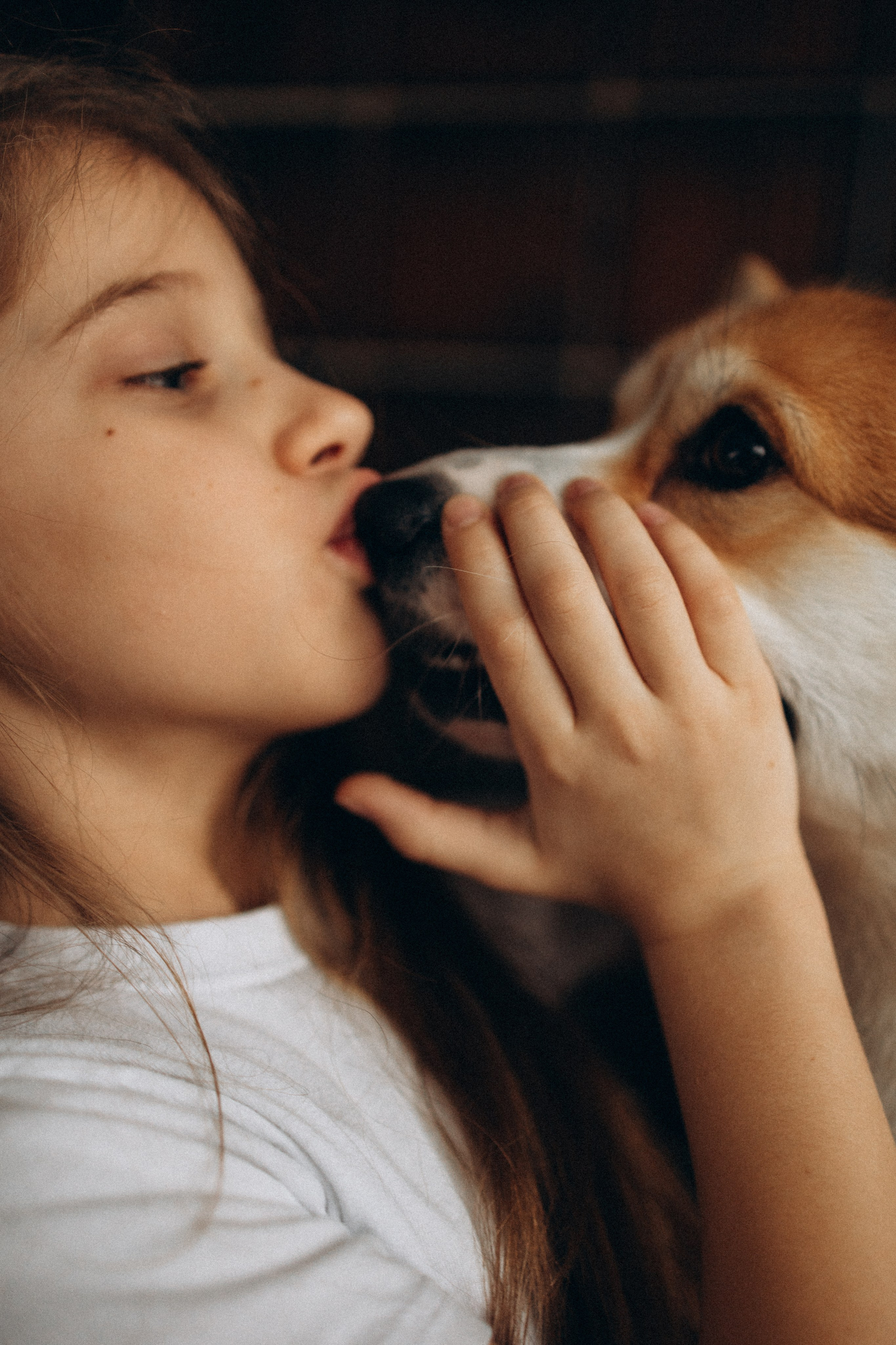 Зевс и его семья. Фотораф — анималист Мария Шистка