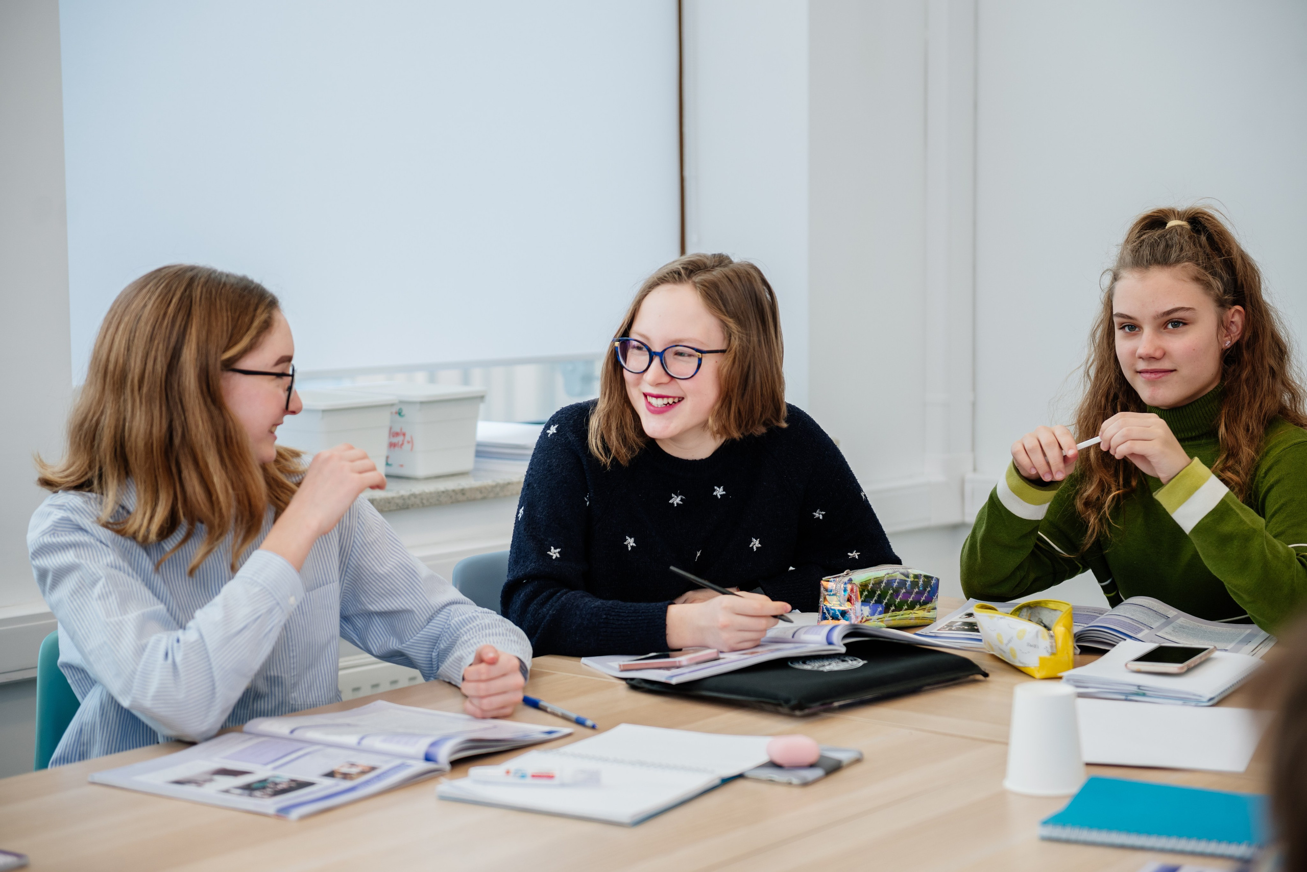 Английская школа. Study Lab. Фотограф LANA STIL. Семейный, репортажный фотограф, студия. Женский, мужской портрет. Фотографирую территориально в г. Королев, Москва, МО